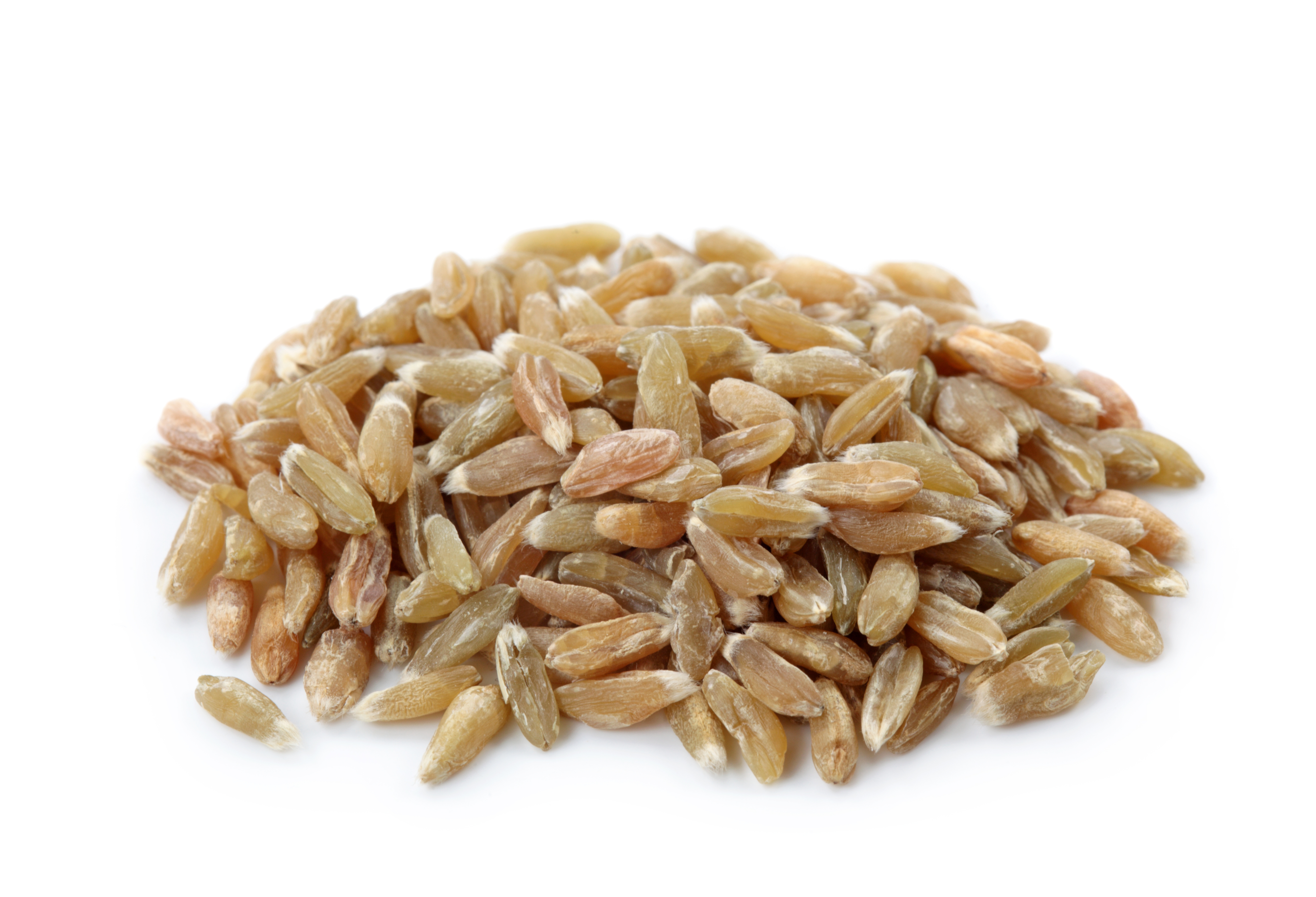Bio Grünkern kaufen – Traditionelles Dinkelprodukt für Suppen, Bratlinge & mehr | Mynatura 1Kg Bio Grünkern kaufen – Traditionelles Dinkelprodukt für Suppen, Bratlinge & mehr | Mynatura 1Kg