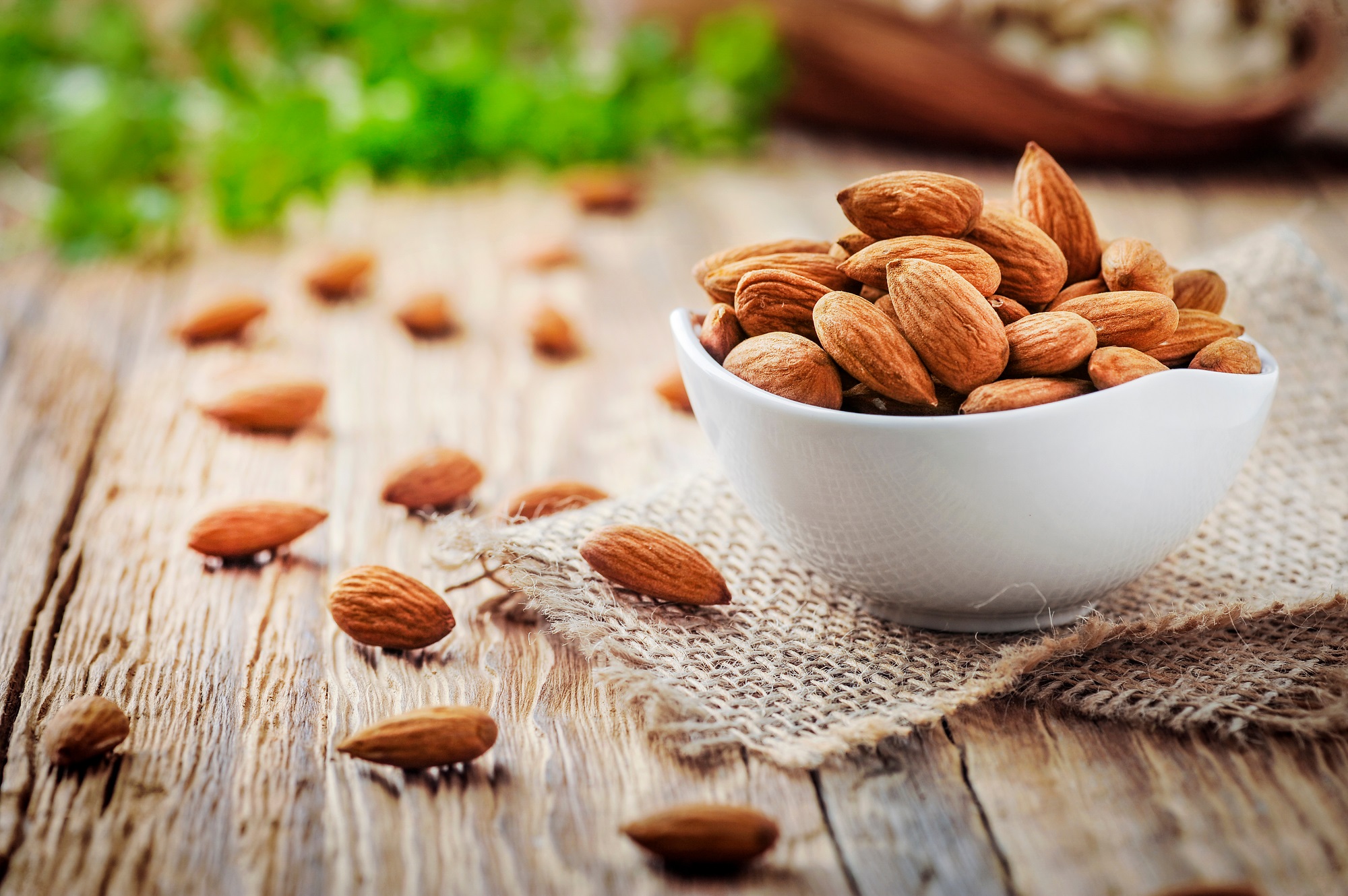 Mandelkerne kaufen – Wissenswertes zu Sorten, Verwendung & mynatura Bio-Qualität 1Kg Mandelkerne kaufen – Wissenswertes zu Sorten, Verwendung & mynatura Bio-Qualität 1Kg