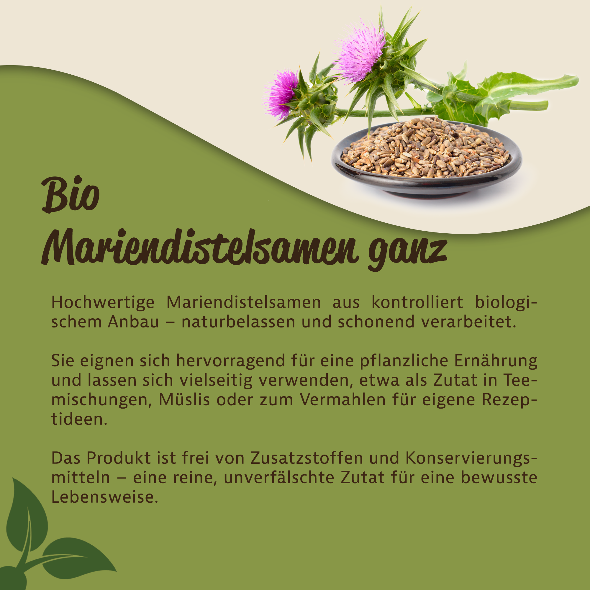 Bio Mariendistelsamen von Mynatura – Naturbelassen & Vielseitig Einsetzbar 0,5Kg Bio Mariendistelsamen von Mynatura – Naturbelassen & Vielseitig Einsetzbar 0,5Kg