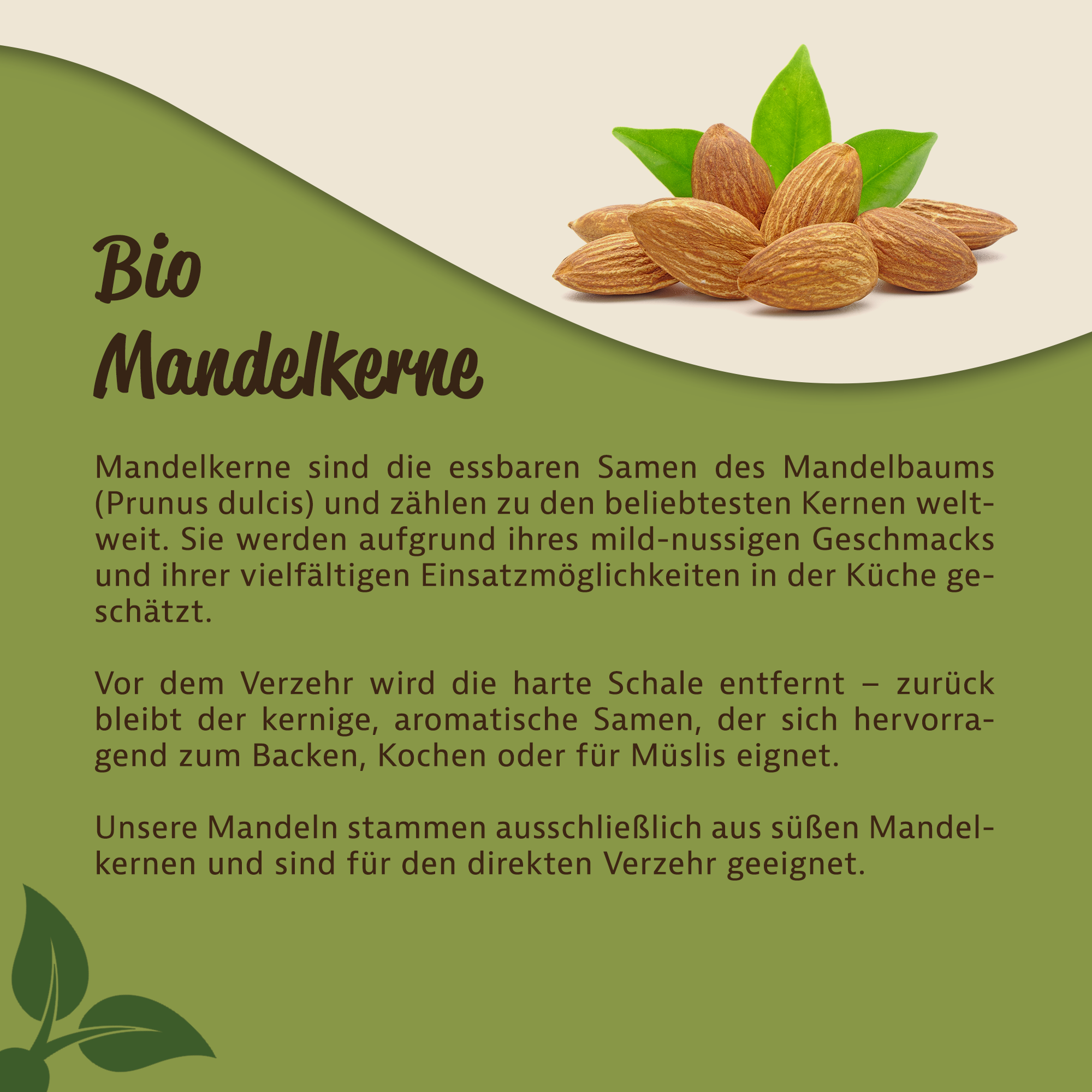 Mandelkerne kaufen – Wissenswertes zu Sorten, Verwendung & mynatura Bio-Qualität 1Kg
