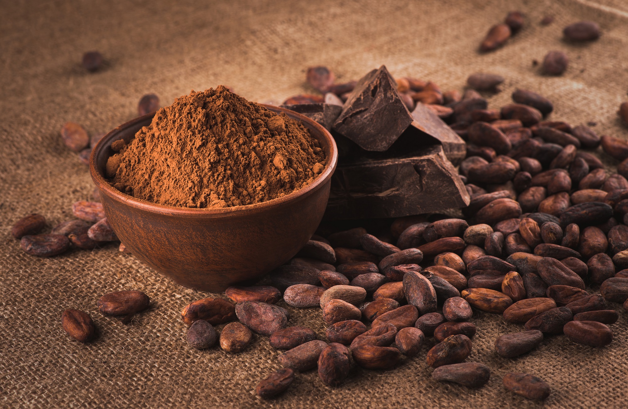 Mynatura Bio Kakao, stark entölt 1Kg