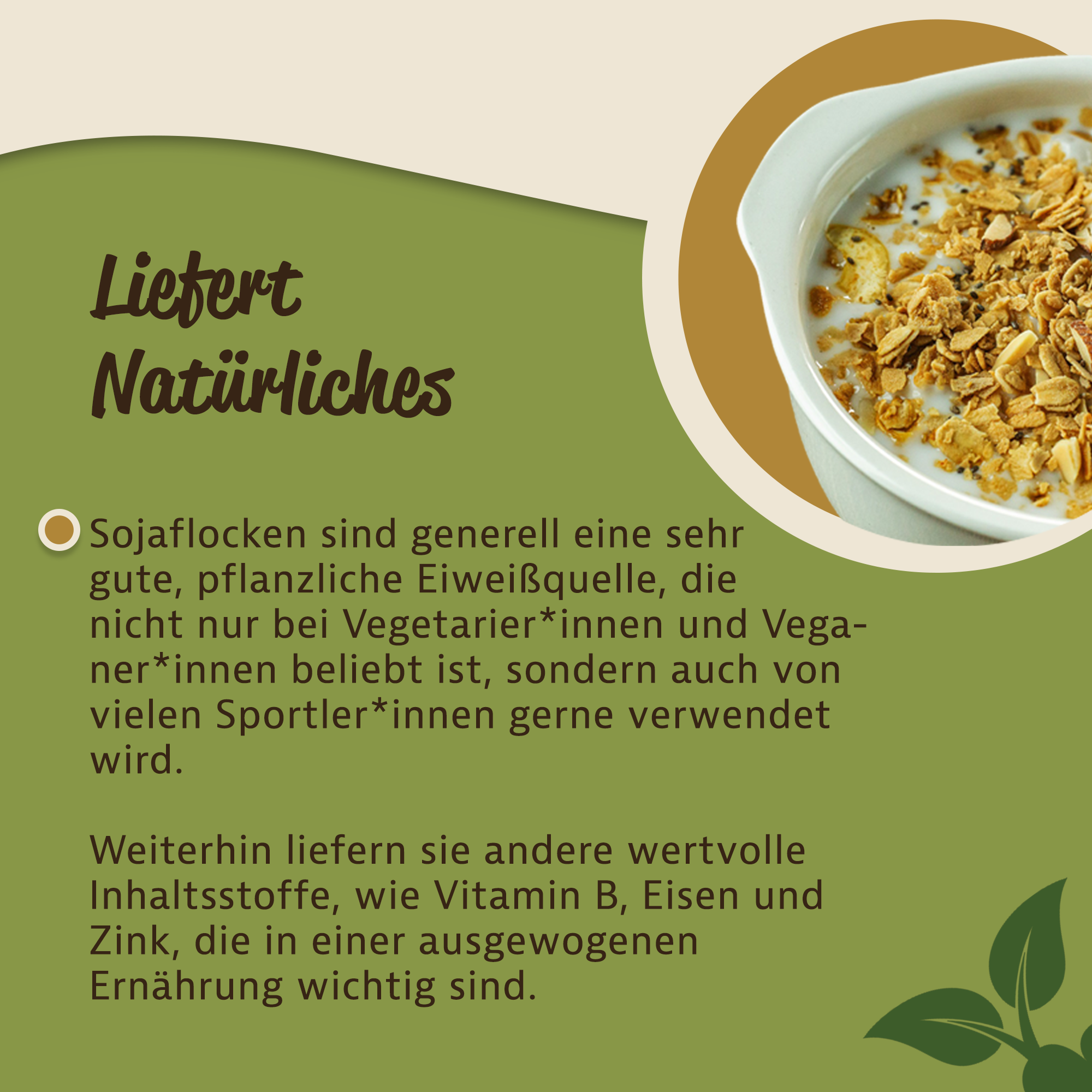 Mynatura Bio Sojaflocken
