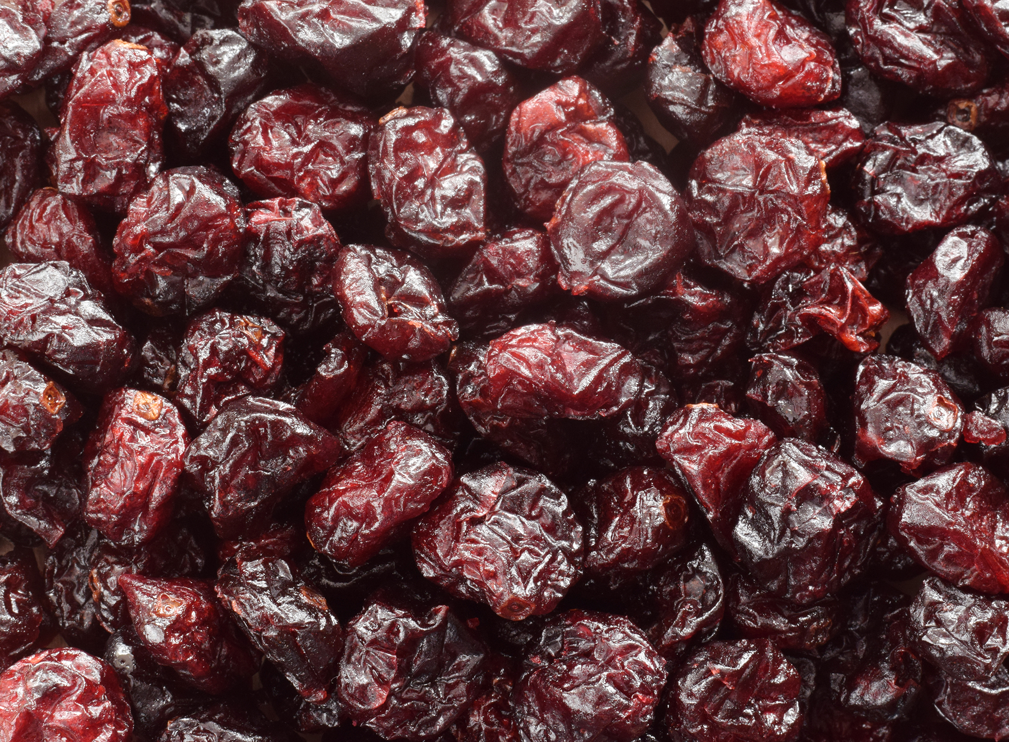 Amerikanische Cranberrys kaufen – Großfrüchtige Moosbeere aus Nordamerika für vielseitige Rezepte 1Kg Amerikanische Cranberrys kaufen – Großfrüchtige Moosbeere aus Nordamerika für vielseitige Rezepte 1Kg