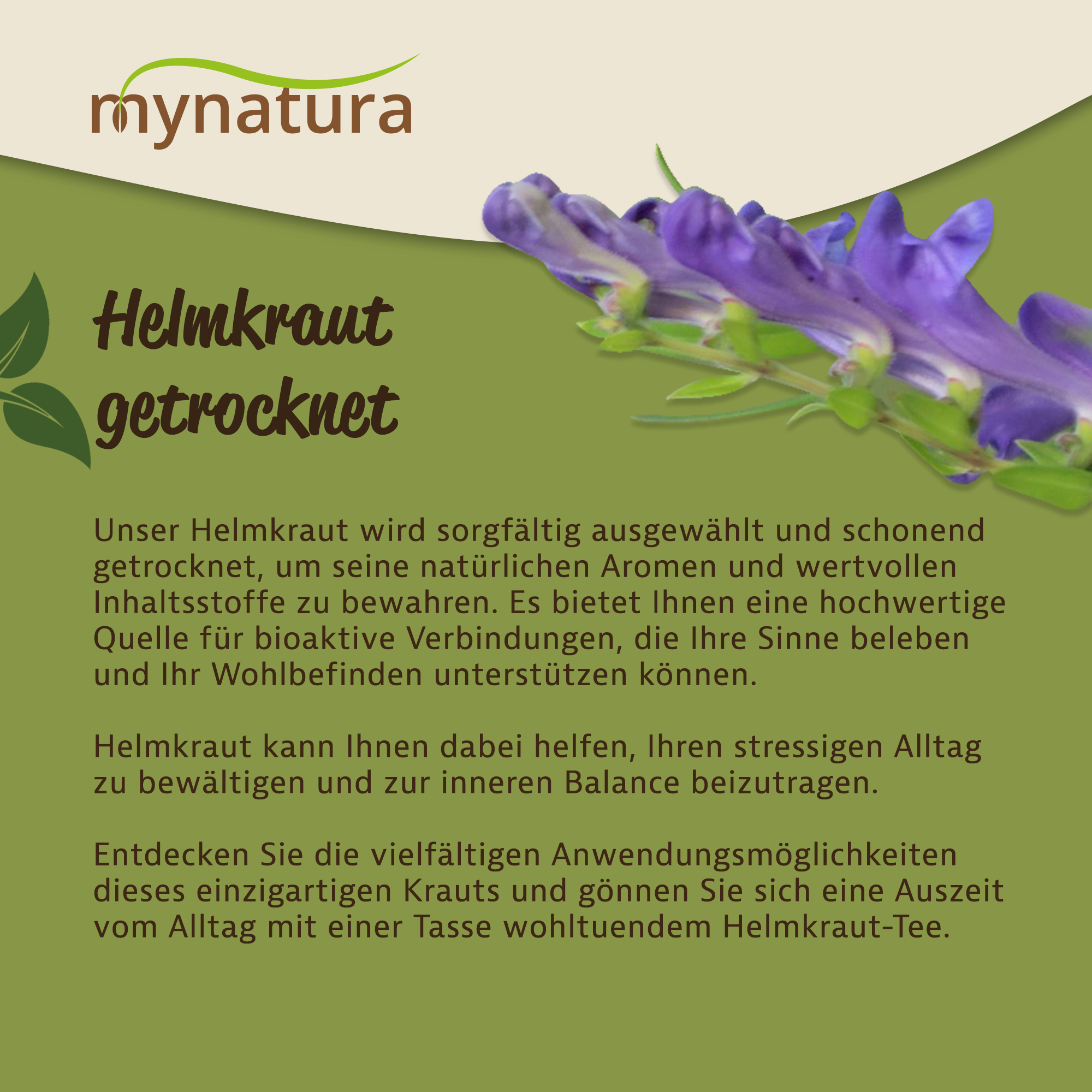 Helmkraut getrocknet & geschnitten – Kräuterqualität von mynatura | Bio, aromatisch & vielseitig 250g