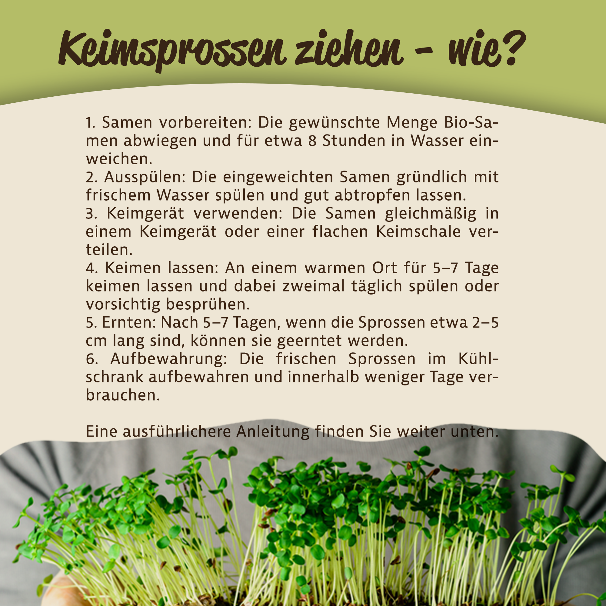 Mynatura Bio Leinsamen Keimsprossen – Leinsaat Sprossen 500g | Müsli & Salat-Topping Mynatura Bio Leinsamen Keimsprossen – Leinsaat Sprossen 500g | Müsli & Salat-Topping