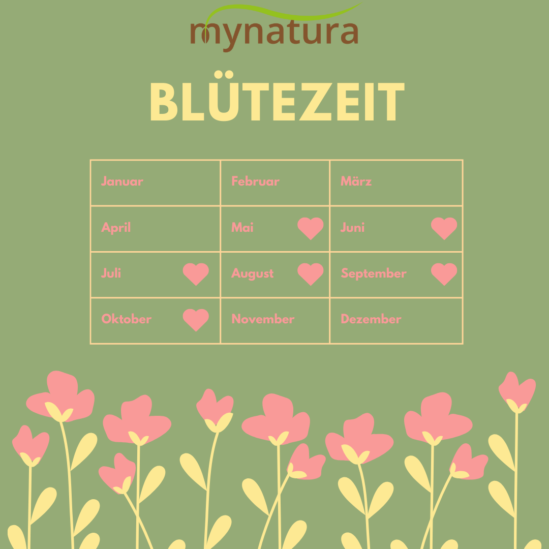 Mynatura Bienenweide Süd Bienen 50g Mynatura Bienenweide Süd Bienen 50g
