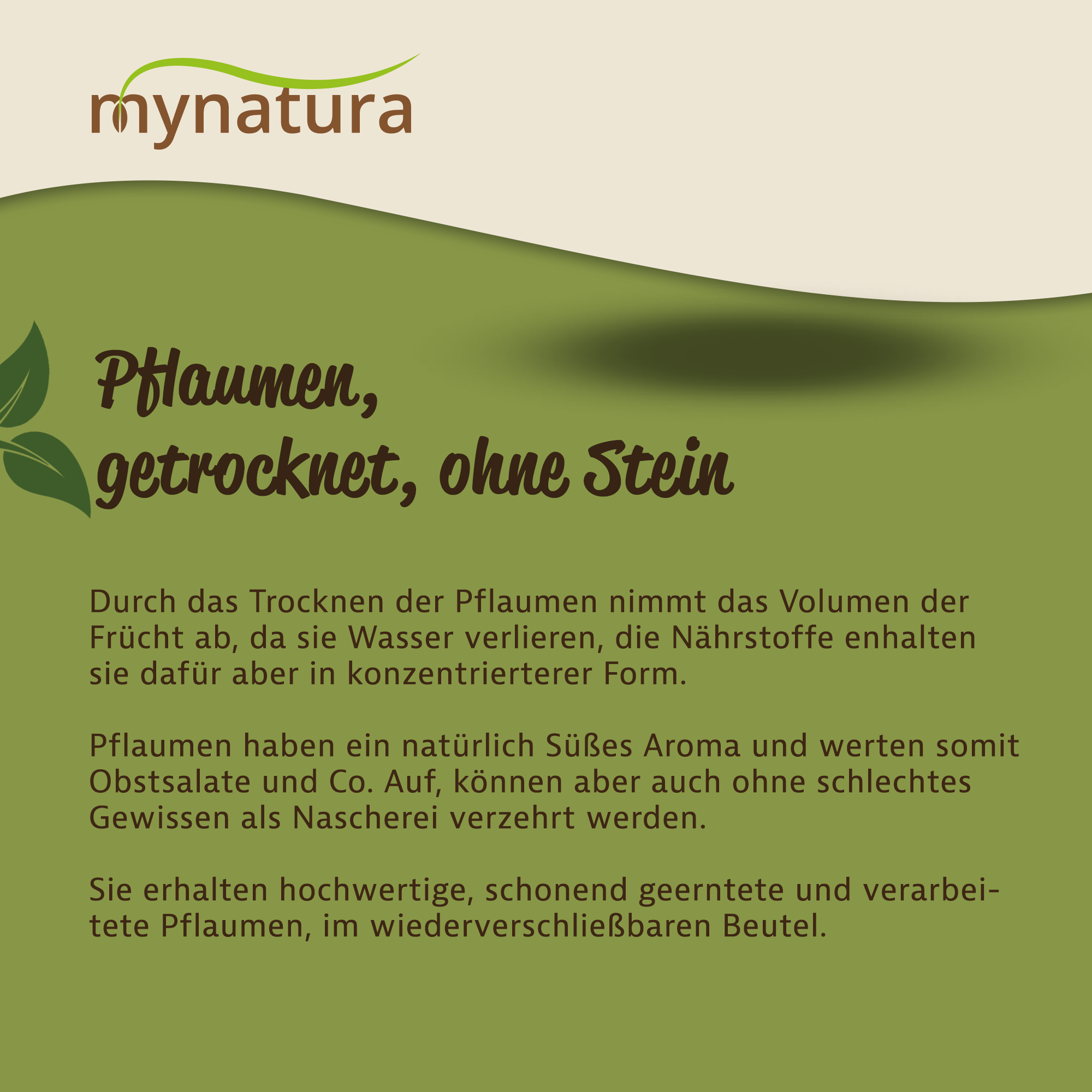 Getrocknete Pflaumen in Premiumqualität – natürliche Süße und ballaststoffreiche Frucht von Mynatura Getrocknete Pflaumen in Premiumqualität – natürliche Süße und ballaststoffreiche Frucht von Mynatura