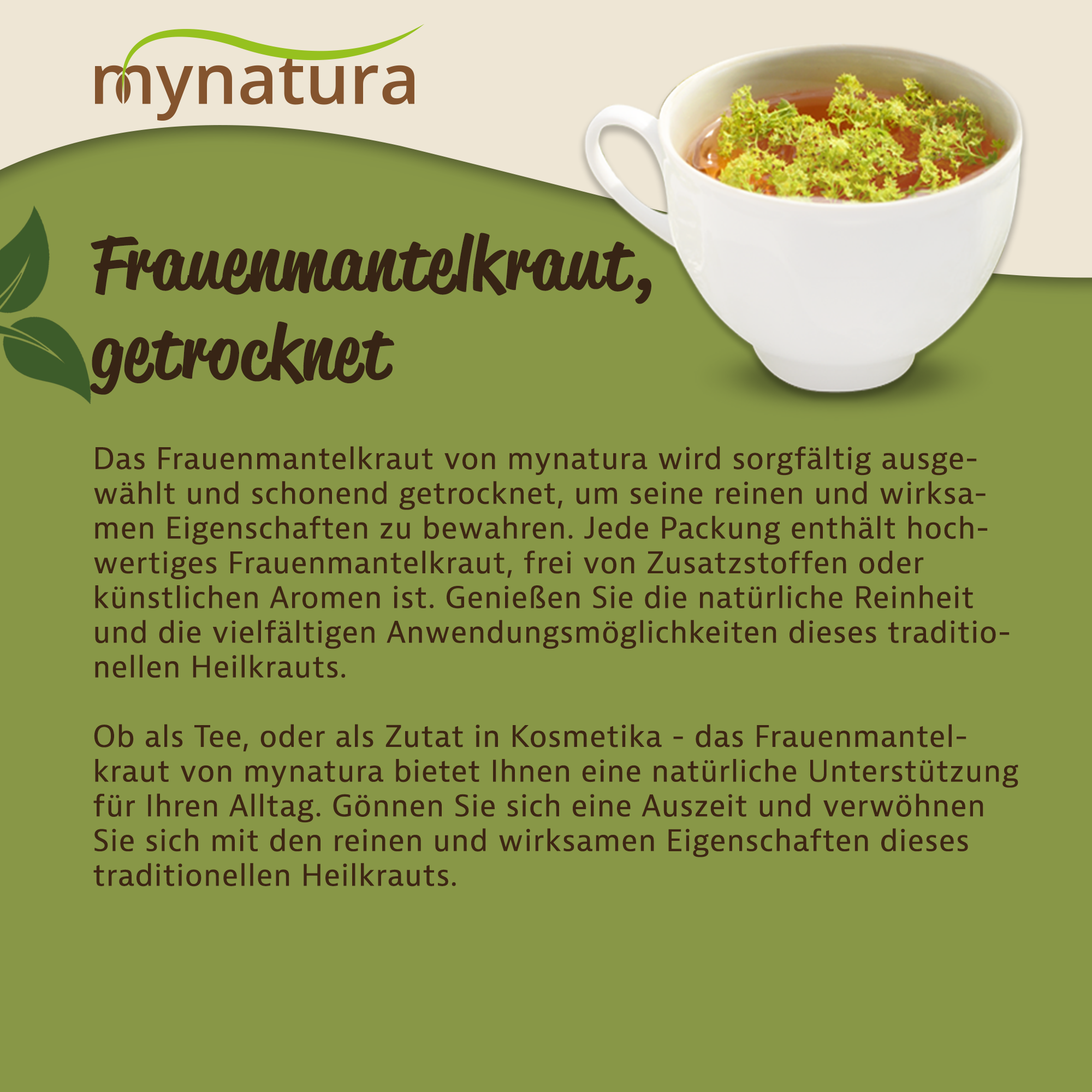 Mynatura Getrocknetes & geschnittenes Frauenmantelkraut kaufen | Bioqualität für Kräutertee & Küche 250g Mynatura Getrocknetes & geschnittenes Frauenmantelkraut kaufen | Bioqualität für Kräutertee & Küche 250g