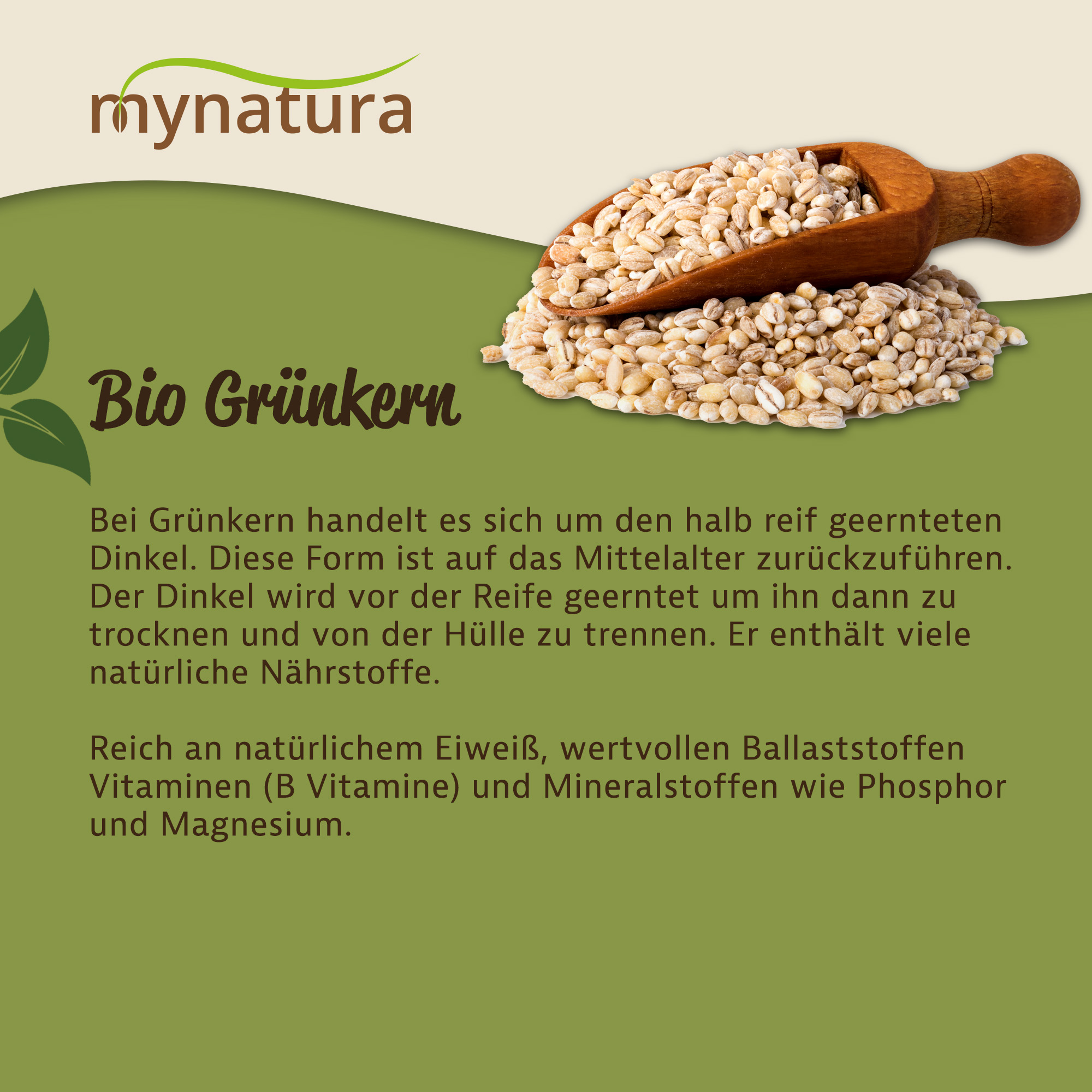 Bio Grünkern kaufen – Traditionelles Dinkelprodukt für Suppen, Bratlinge & mehr | Mynatura 1Kg Bio Grünkern kaufen – Traditionelles Dinkelprodukt für Suppen, Bratlinge & mehr | Mynatura 1Kg