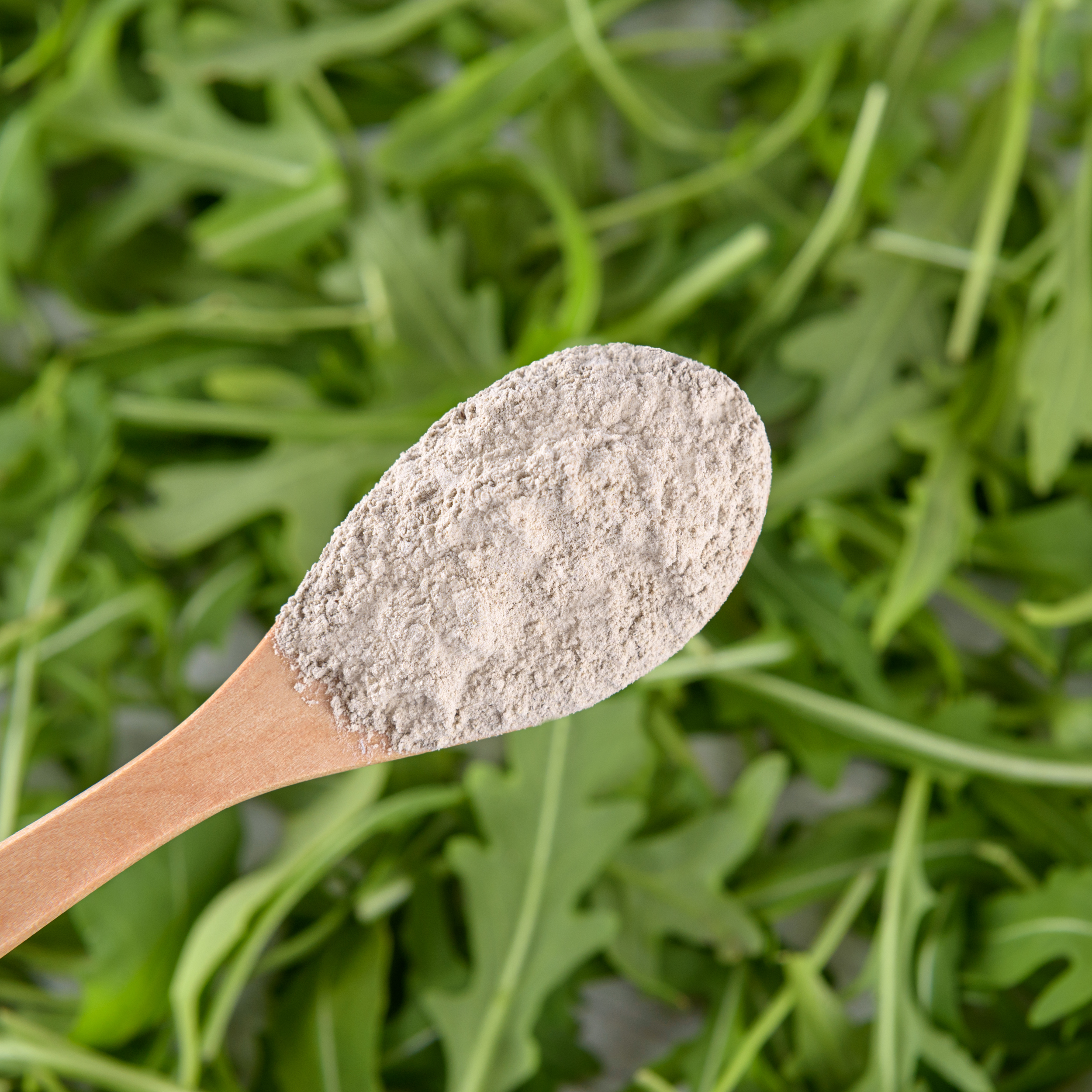 Löwenzahnpulver in Premium-Qualität – Natürliches Pflanzenpulver aus getrockneten Löwenzahnwurzeln 0,2Kg Löwenzahnpulver in Premium-Qualität – Natürliches Pflanzenpulver aus getrockneten Löwenzahnwurzeln 0,2Kg