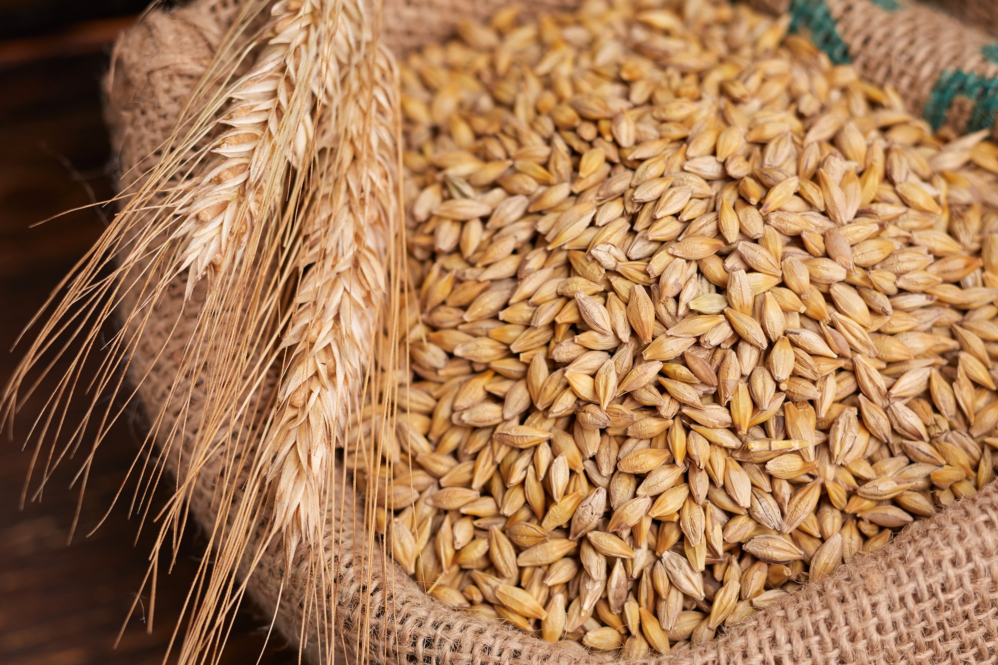 Bio Gerste entspelzt von Mynatura – Naturprodukt für vielseitige Küche & vegane Ernährung 1000g