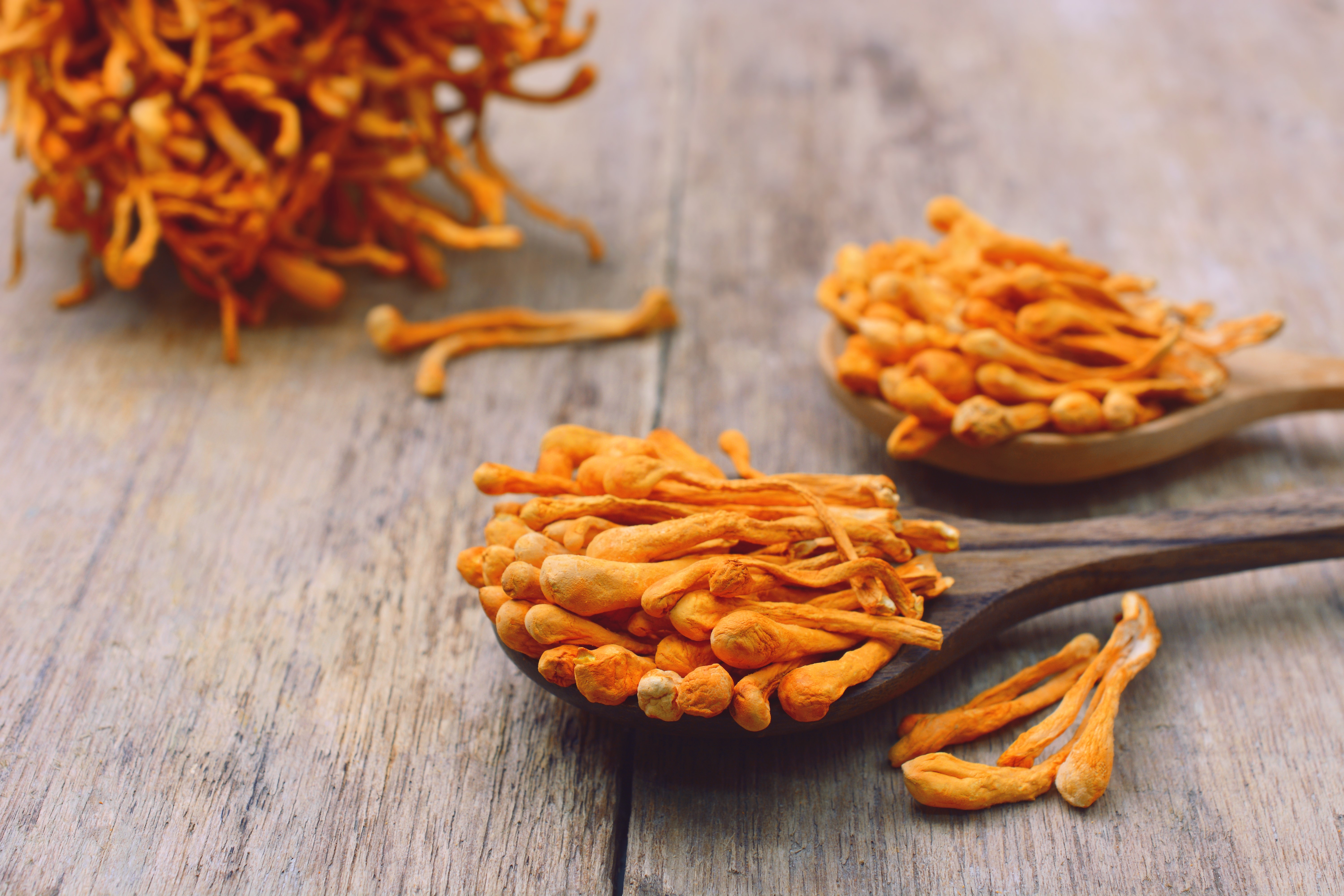 Mynatura Bio Cordyceps Pilzpulver – Pflanzliches Superfood in Bio-Qualität | Vielseitig & Mineralstoffreich 0,2Kg Mynatura Bio Cordyceps Pilzpulver – Pflanzliches Superfood in Bio-Qualität | Vielseitig & Mineralstoffreich 0,2Kg