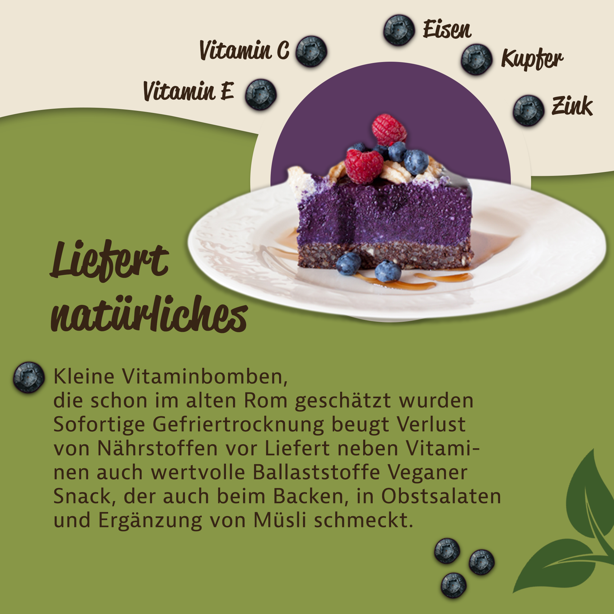 Gefriergetrocknete Wildheidelbeeren – Intensiver Geschmack & Vielseitige Verwendung 0,2Kg Gefriergetrocknete Wildheidelbeeren – Intensiver Geschmack & Vielseitige Verwendung 0,2Kg