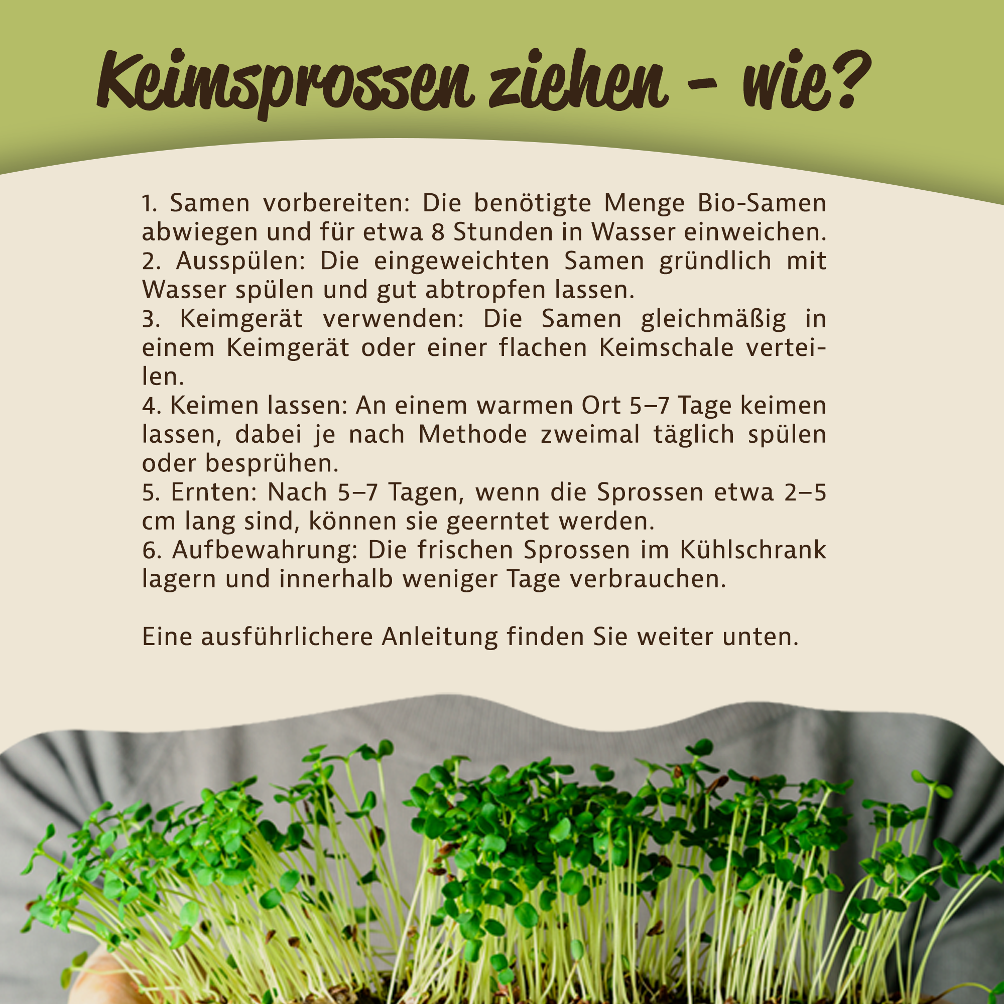Mynatura Bio Daikon-Rettich Keimsprossen Gemüse (500g) Mynatura Bio Daikon-Rettich Keimsprossen Gemüse (500g)