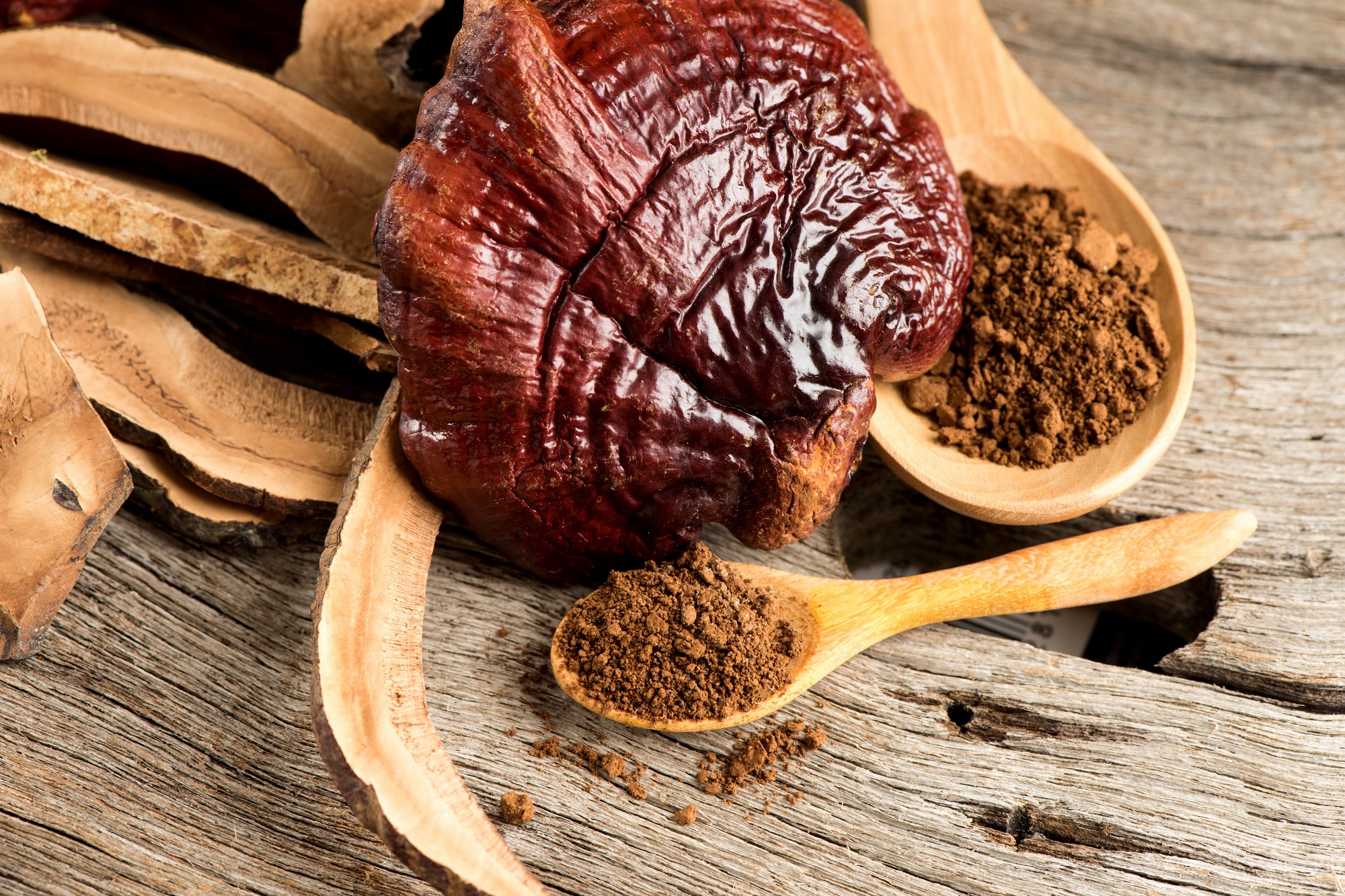 Mynatura Bio Reishi Pulver Vitalpilz 0,2Kg