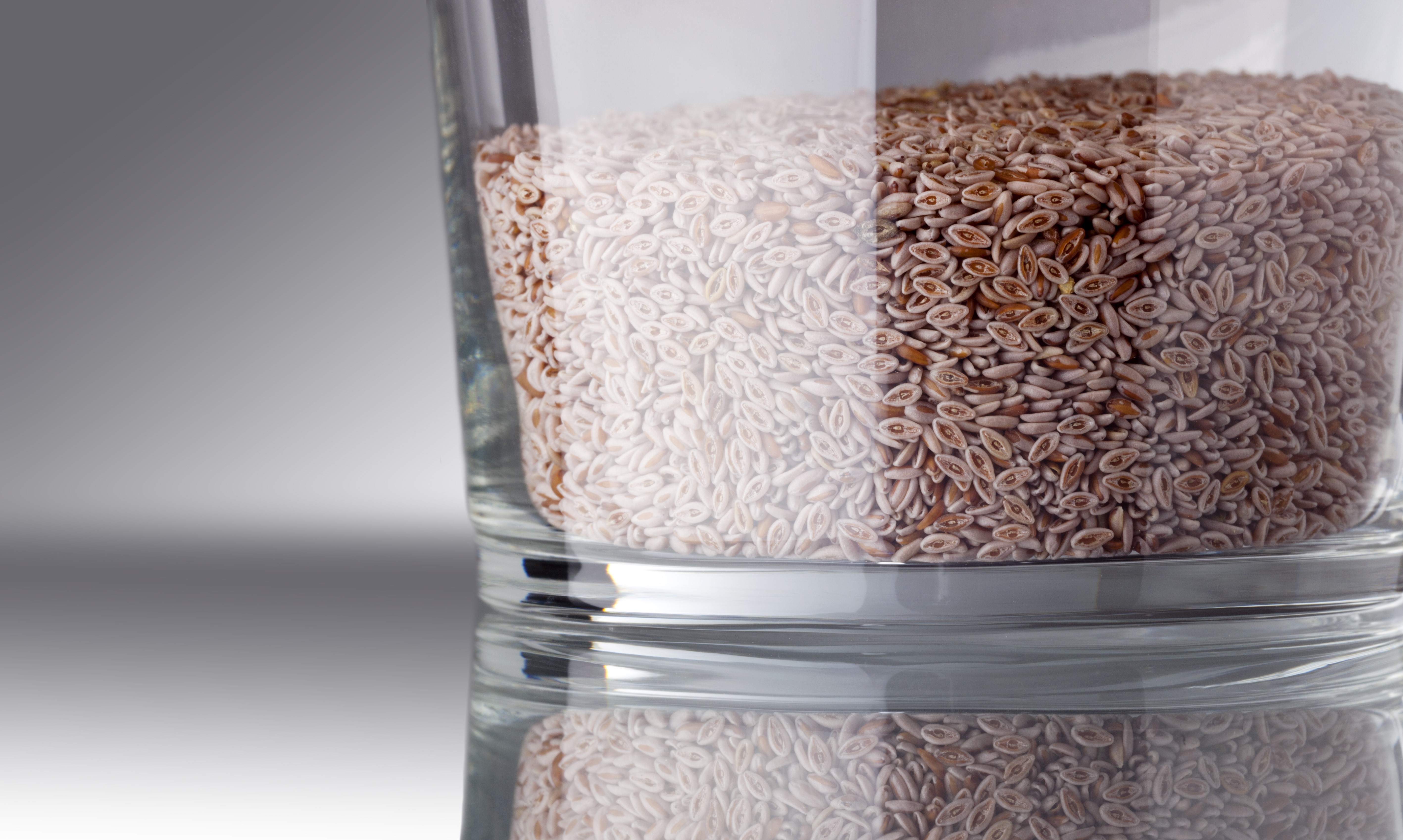 Mynatura Bio Flohsamen GANZ , Beutel - 99% Reinheit 1Kg