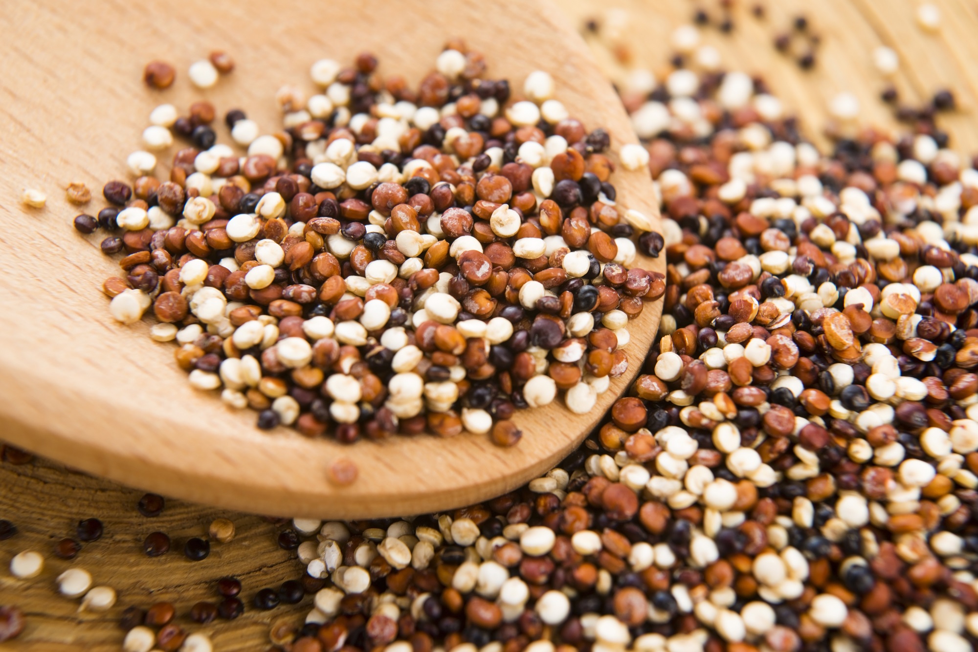 Bio Quinoa Tricolore von Mynatura – Farbige Quinoa-Mischung aus weißem, rotem und schwarzem Quinoa | Vegan & vielseitig für die moderne Küche 1000g Bio Quinoa Tricolore von Mynatura – Farbige Quinoa-Mischung aus weißem, rotem und schwarzem Quinoa | Vegan & vielseitig für die moderne Küche 1000g