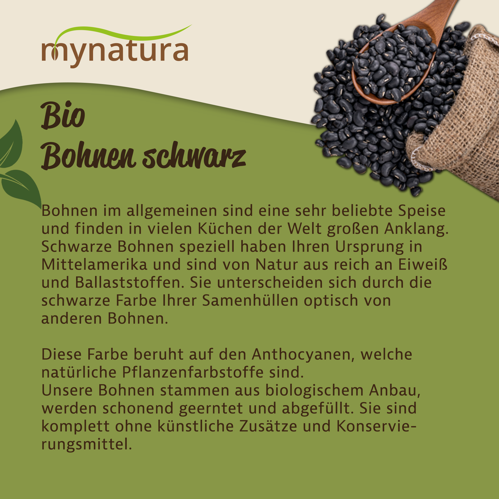Bio Schwarze Bohnen von Mynatura | Pflanzliches Eiweiß & vielseitige Hülsenfrucht zum Kochen 1Kg Bio Schwarze Bohnen von Mynatura | Pflanzliches Eiweiß & vielseitige Hülsenfrucht zum Kochen 1Kg