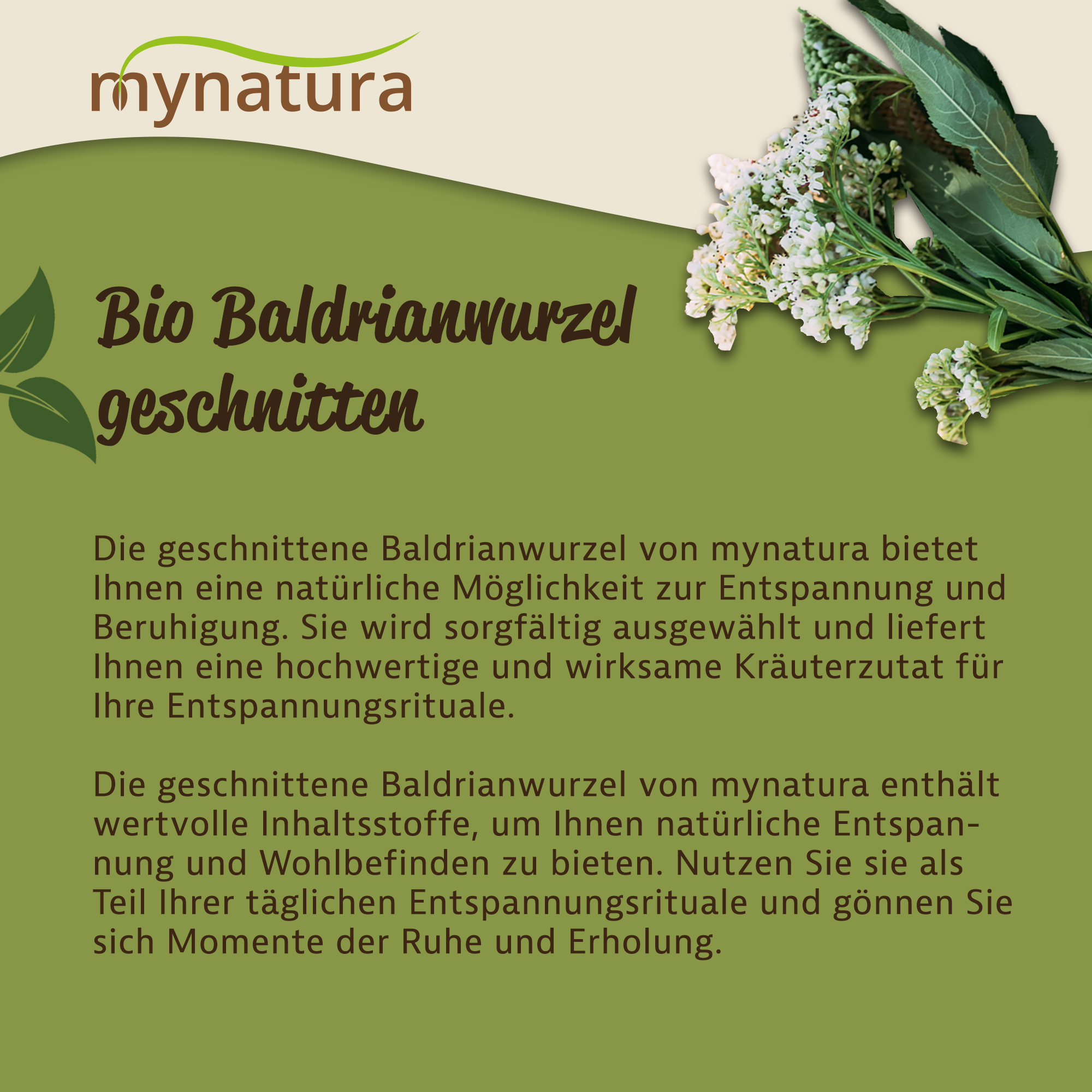 Bio Baldrianwurzel geschnitten von Mynatura | Naturprodukt für Tee & kreative Anwendungen 250g Bio Baldrianwurzel geschnitten von Mynatura | Naturprodukt für Tee & kreative Anwendungen 250g