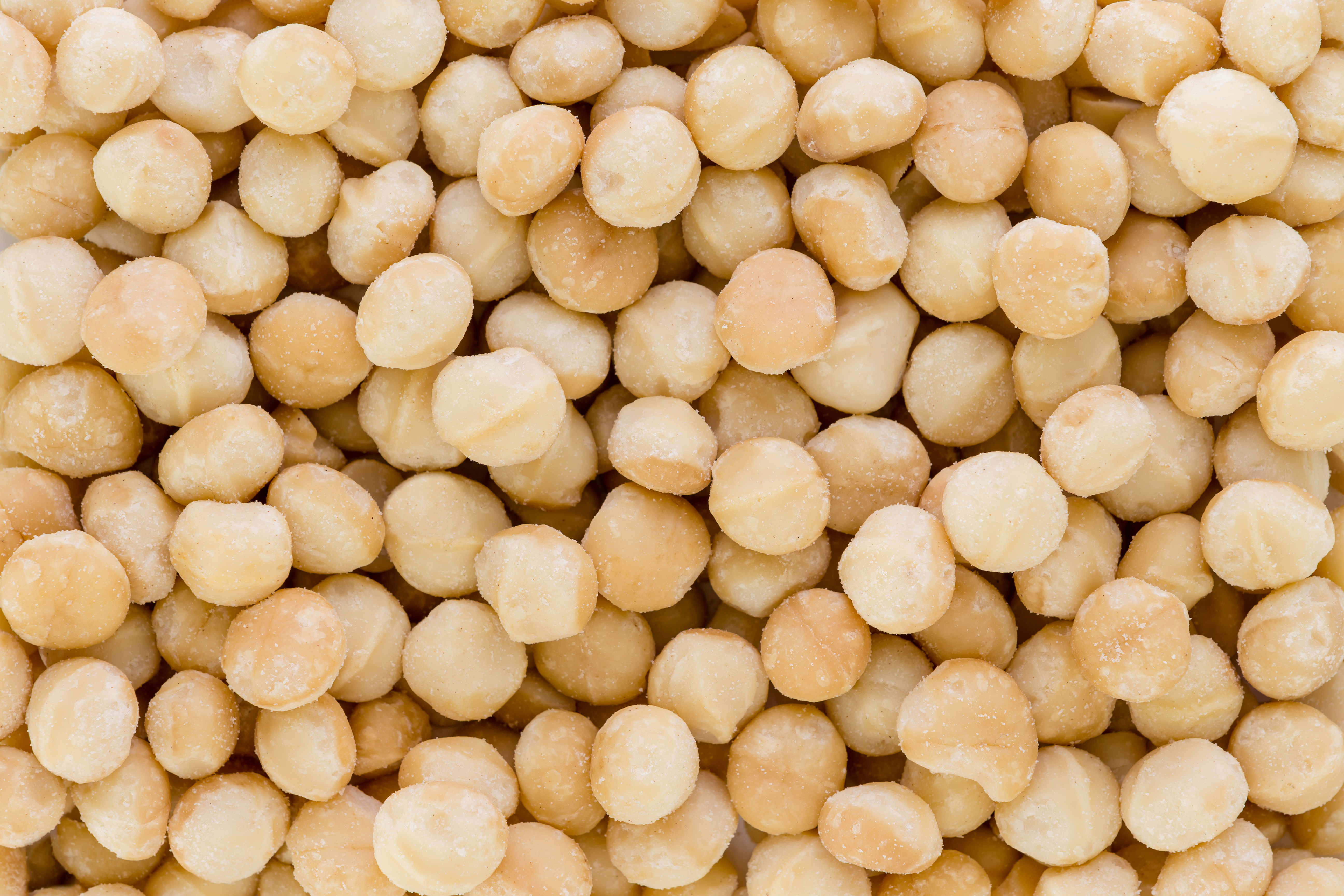 Macadamia-Kerne von Mynatura – Edle Nüsse mit feinem Butteraroma für Genuss und Küche 0,5Kg