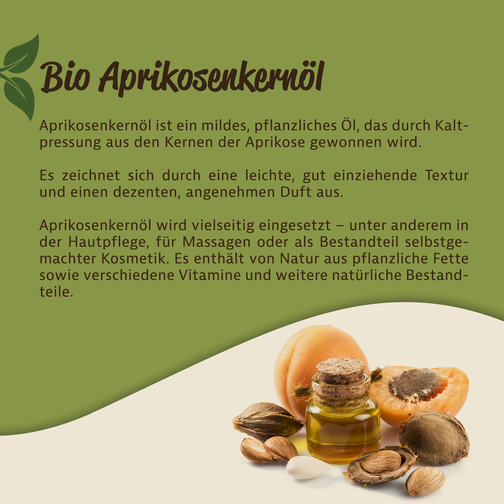 Aprikosenkernöl – Hochwertiges, kaltgepresstes Pflanzenöl für Kosmetik & Pflege 0,25L Aprikosenkernöl – Hochwertiges, kaltgepresstes Pflanzenöl für Kosmetik & Pflege 0,25L