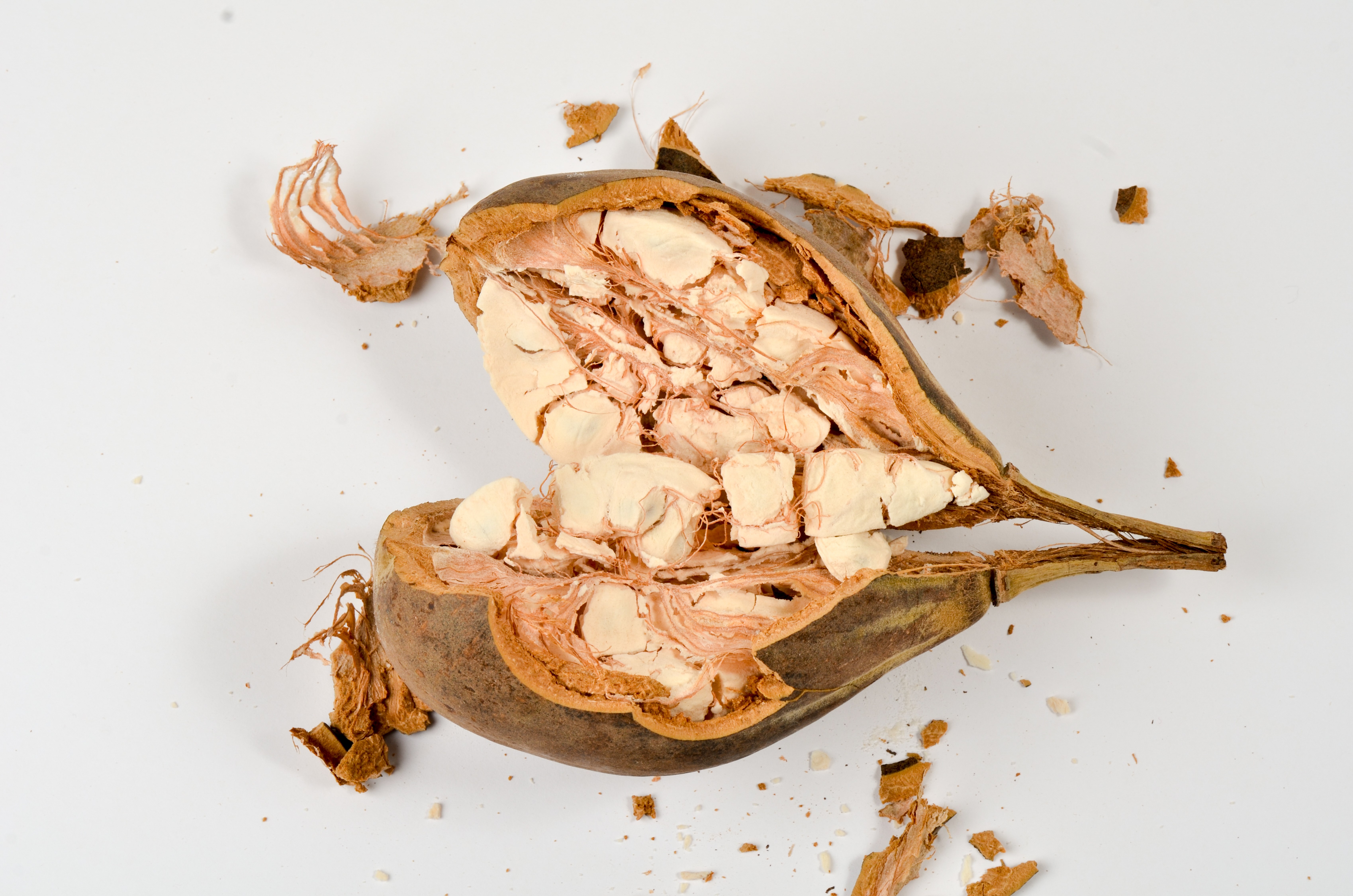 Mynatura Bio Baobab Pulver 1Kg Mynatura Bio Baobab Pulver 1Kg