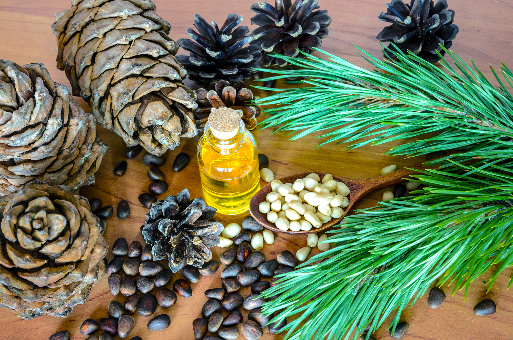 Mynatura Bio Zedernkerne – aromatische Zedernnüsse in Premiumqualität | vielseitig, nachhaltig & naturbelassen 0,5Kg Mynatura Bio Zedernkerne – aromatische Zedernnüsse in Premiumqualität | vielseitig, nachhaltig & naturbelassen 0,5Kg