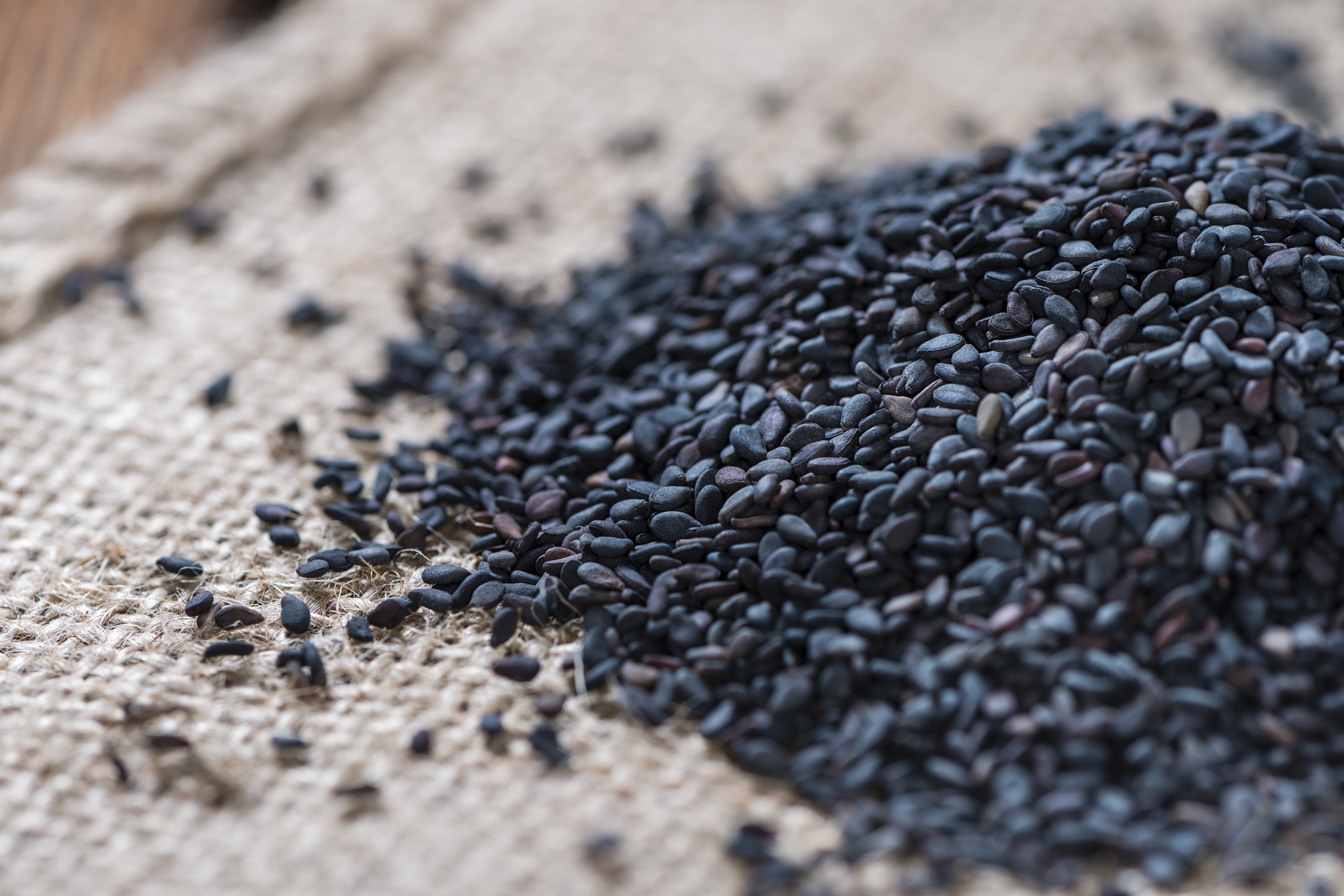 Schwarzer Sesam kaufen – aromatische Sesamsamen in Bioqualität | Mynatura 1Kg Schwarzer Sesam kaufen – aromatische Sesamsamen in Bioqualität | Mynatura 1Kg