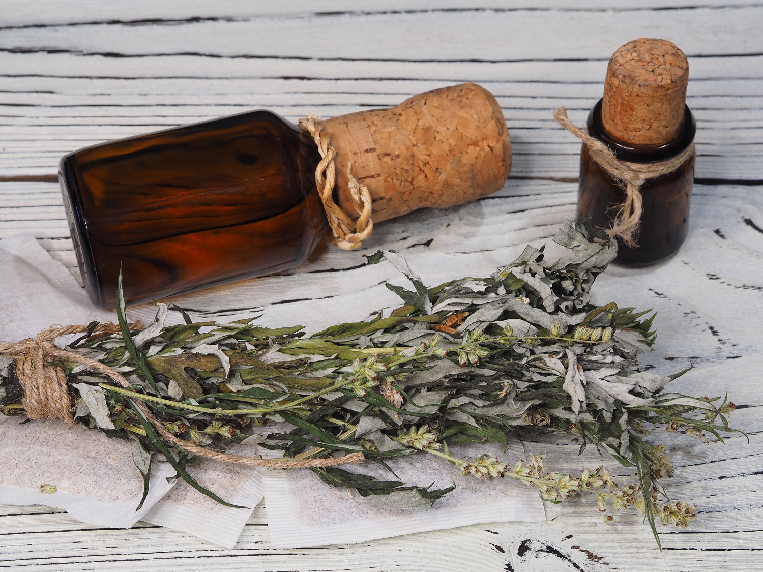 Geschnittenes Bio Wermutkraut – Aromatisches Kraut für Tee, Tinkturen und Absinth 0,1Kg