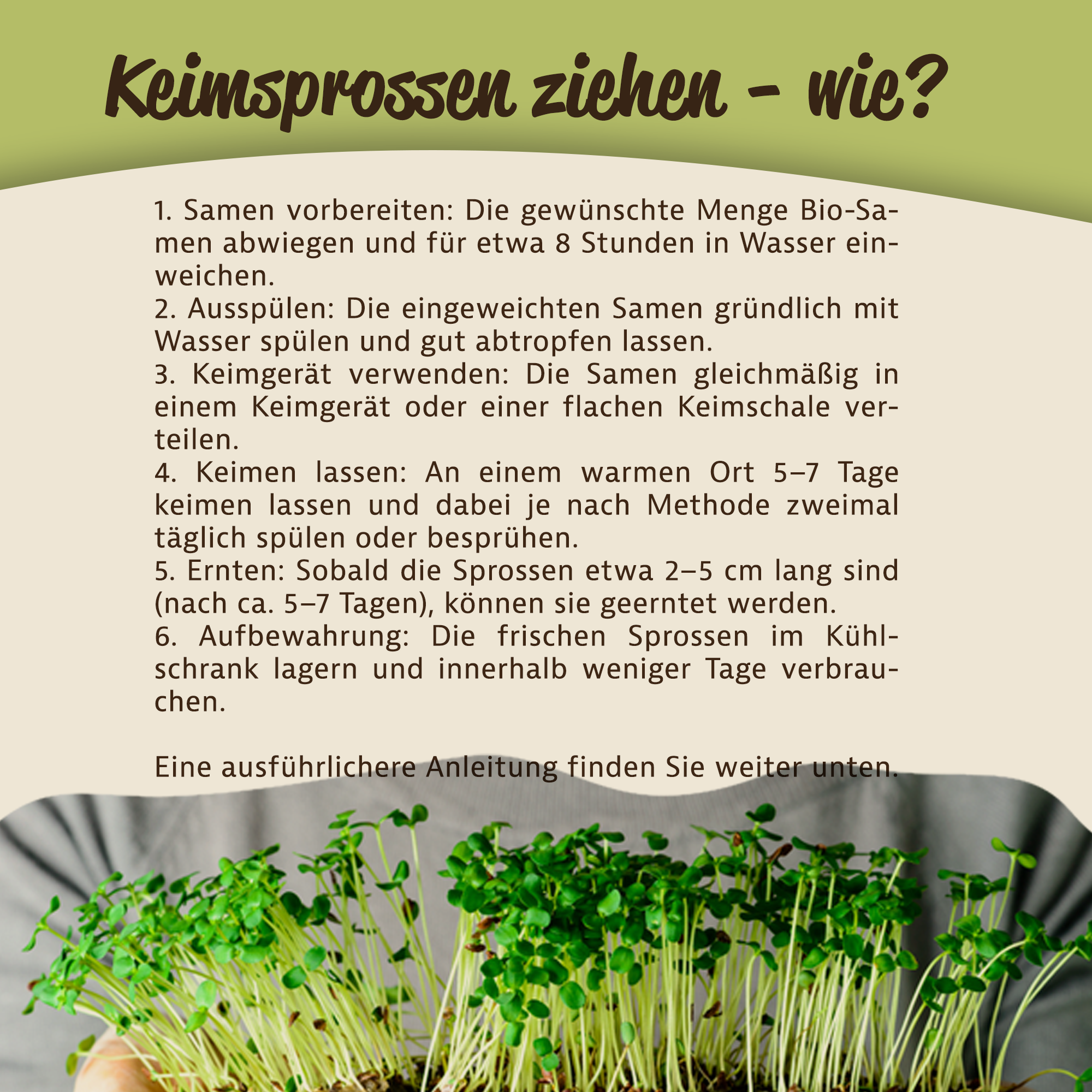 Mynatura Bio Kresse Keimsprossen Gemüse (500g) Mynatura Bio Kresse Keimsprossen Gemüse (500g)