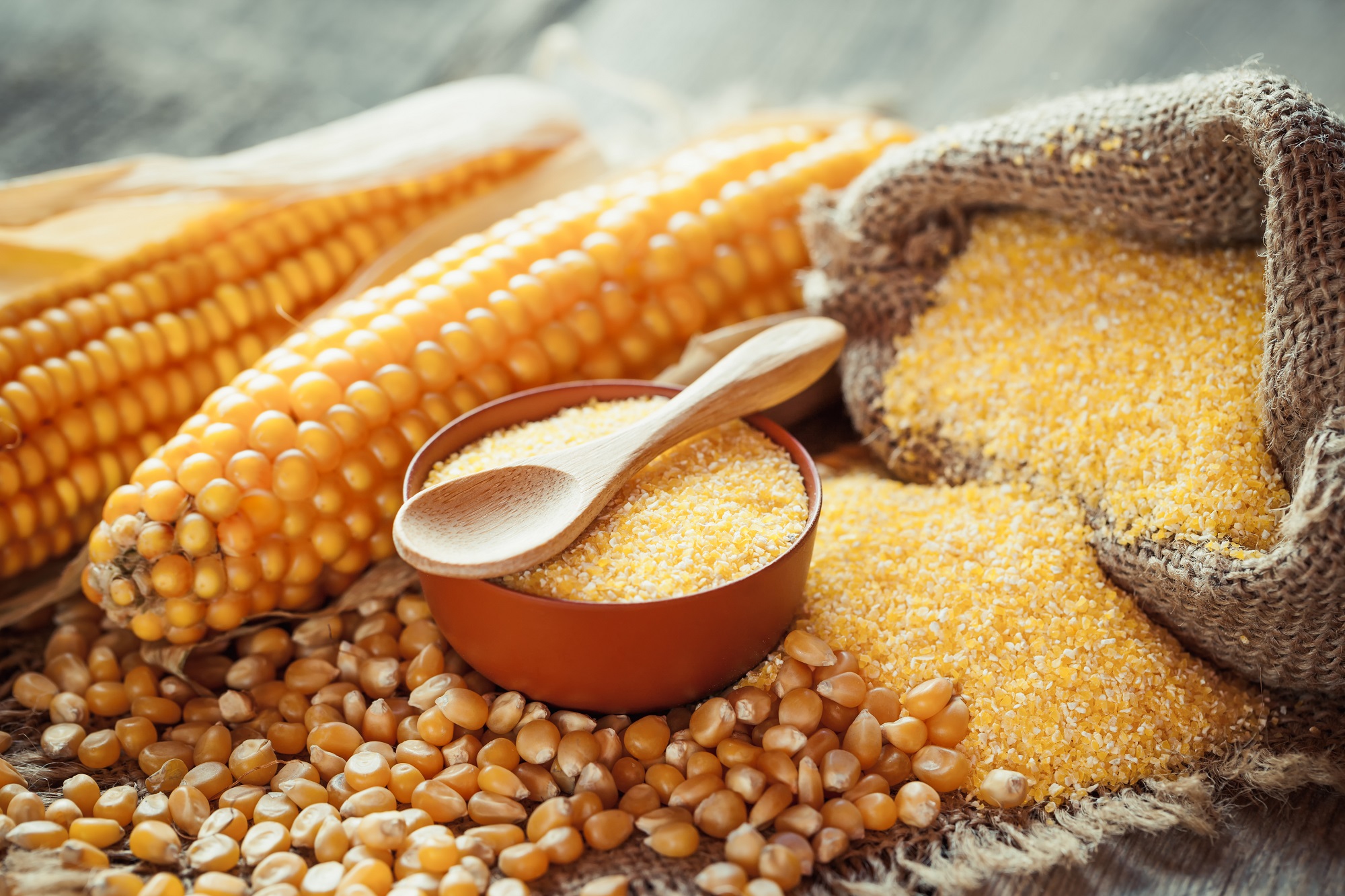 Bio Maisgrieß Polenta von Mynatura – vielseitig, vegan & nachhaltig 1000g Bio Maisgrieß Polenta von Mynatura – vielseitig, vegan & nachhaltig 1000g