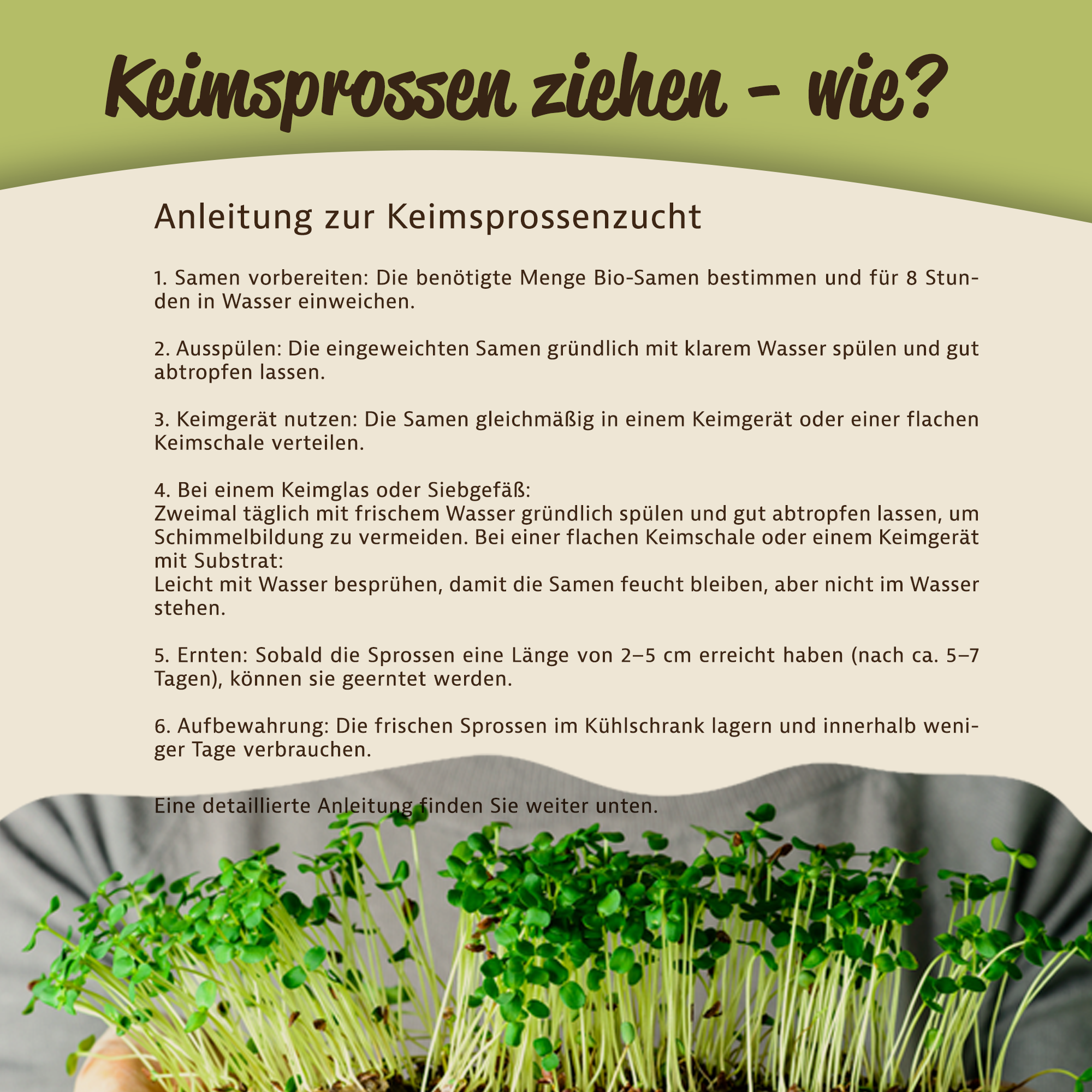 Mynatura Bio Keimsprossen Brokkoli Gemüse (500g) Mynatura Bio Keimsprossen Brokkoli Gemüse (500g)