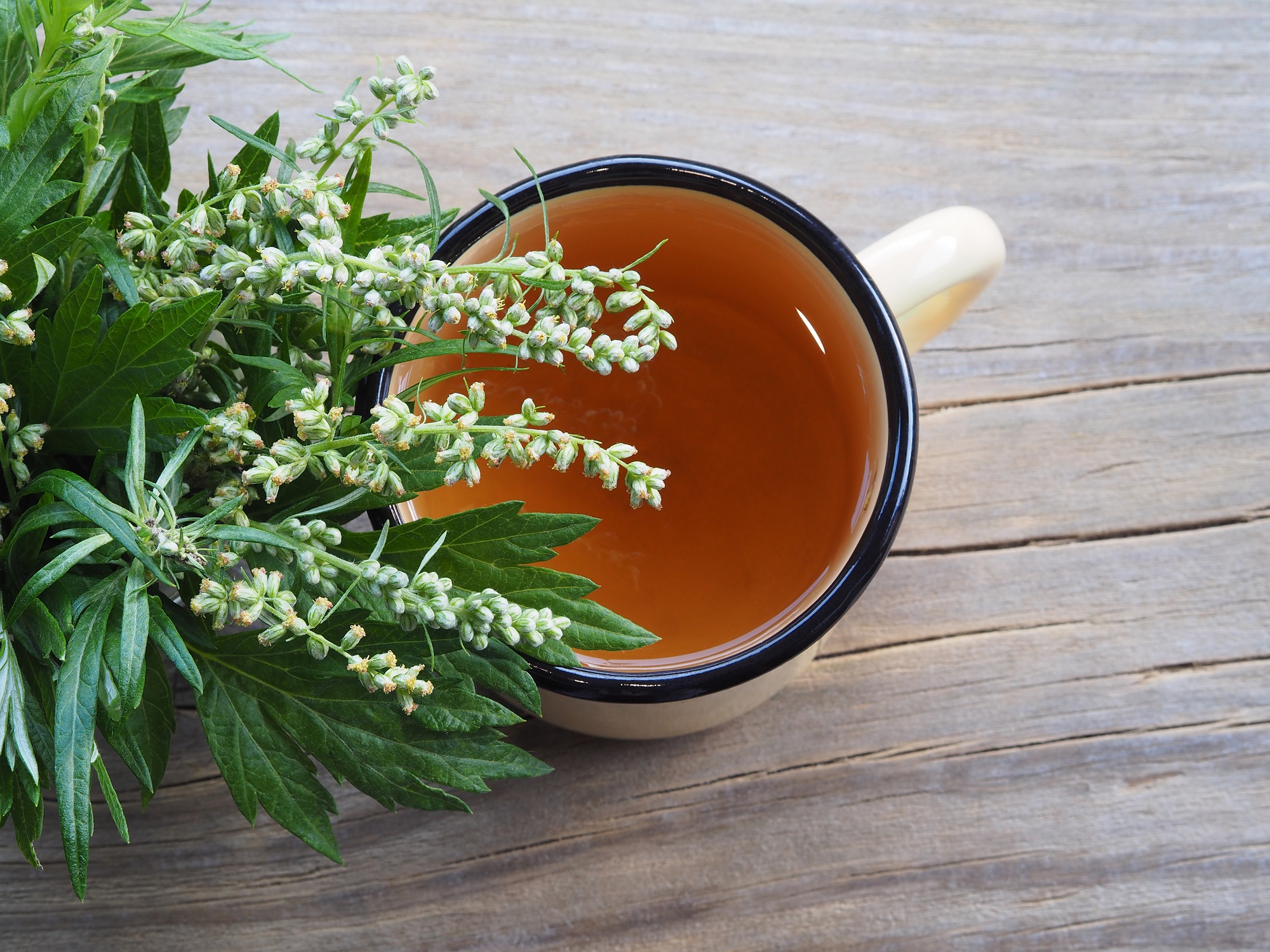Beifußkraut kaufen – Aromatisches Gewürz für Geflügel & deftige Gerichte | Mynatura 250g Beifußkraut kaufen – Aromatisches Gewürz für Geflügel & deftige Gerichte | Mynatura 250g