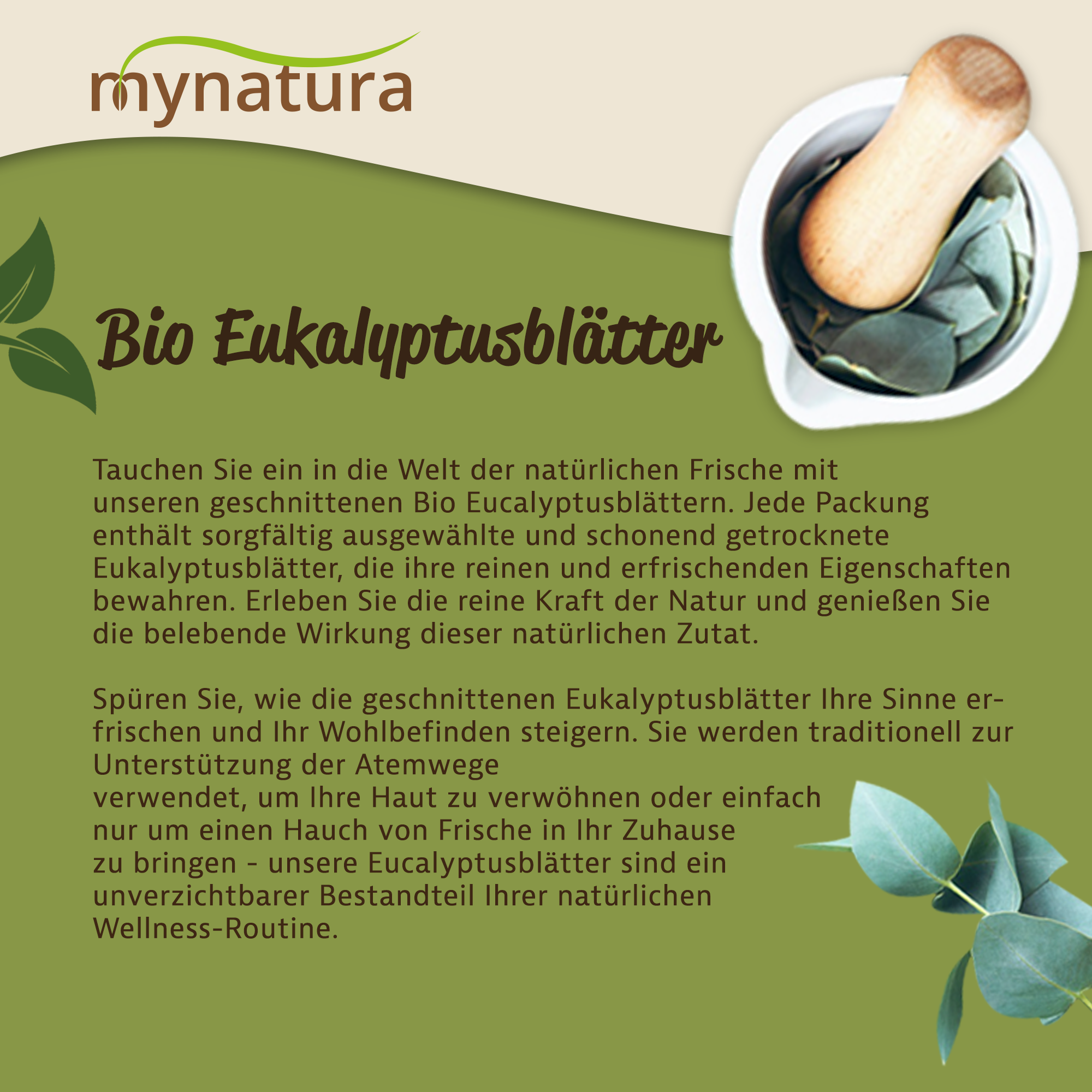 Bio Eukalyptusblätter geschnitten und getrocknet – Mynatura Qualität | Natürliches Teekraut für aromatischen Eukalyptus-Tee 250g Bio Eukalyptusblätter geschnitten und getrocknet – Mynatura Qualität | Natürliches Teekraut für aromatischen Eukalyptus-Tee 250g