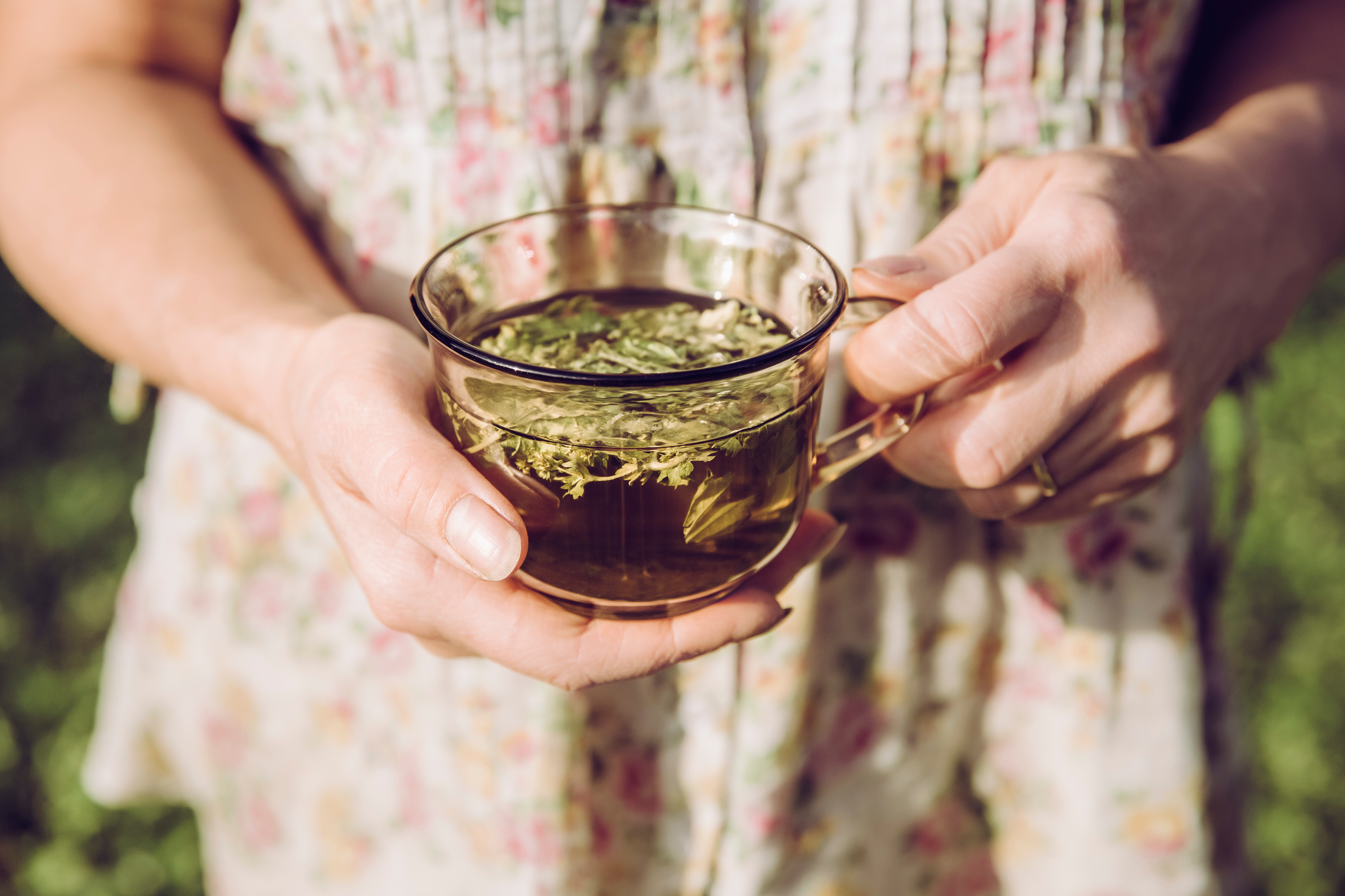 Mynatura Getrocknetes & geschnittenes Frauenmantelkraut kaufen | Bioqualität für Kräutertee & Küche 250g Mynatura Getrocknetes & geschnittenes Frauenmantelkraut kaufen | Bioqualität für Kräutertee & Küche 250g
