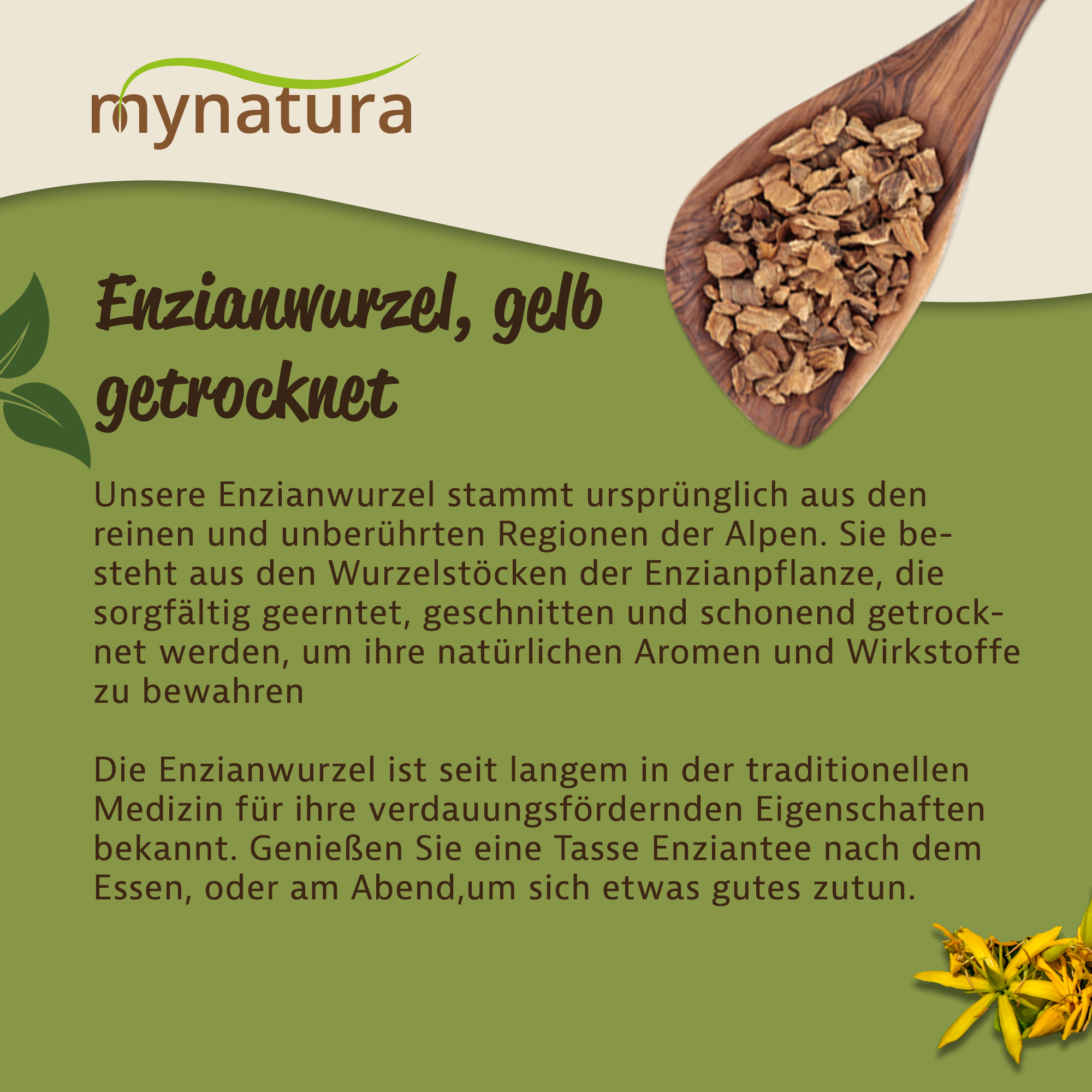 Getrocknete und geschnittene gelbe Enzianwurzel kaufen – natürliche Teezutat & veganes Superfood von Mynatura 250g Getrocknete und geschnittene gelbe Enzianwurzel kaufen – natürliche Teezutat & veganes Superfood von Mynatura 250g