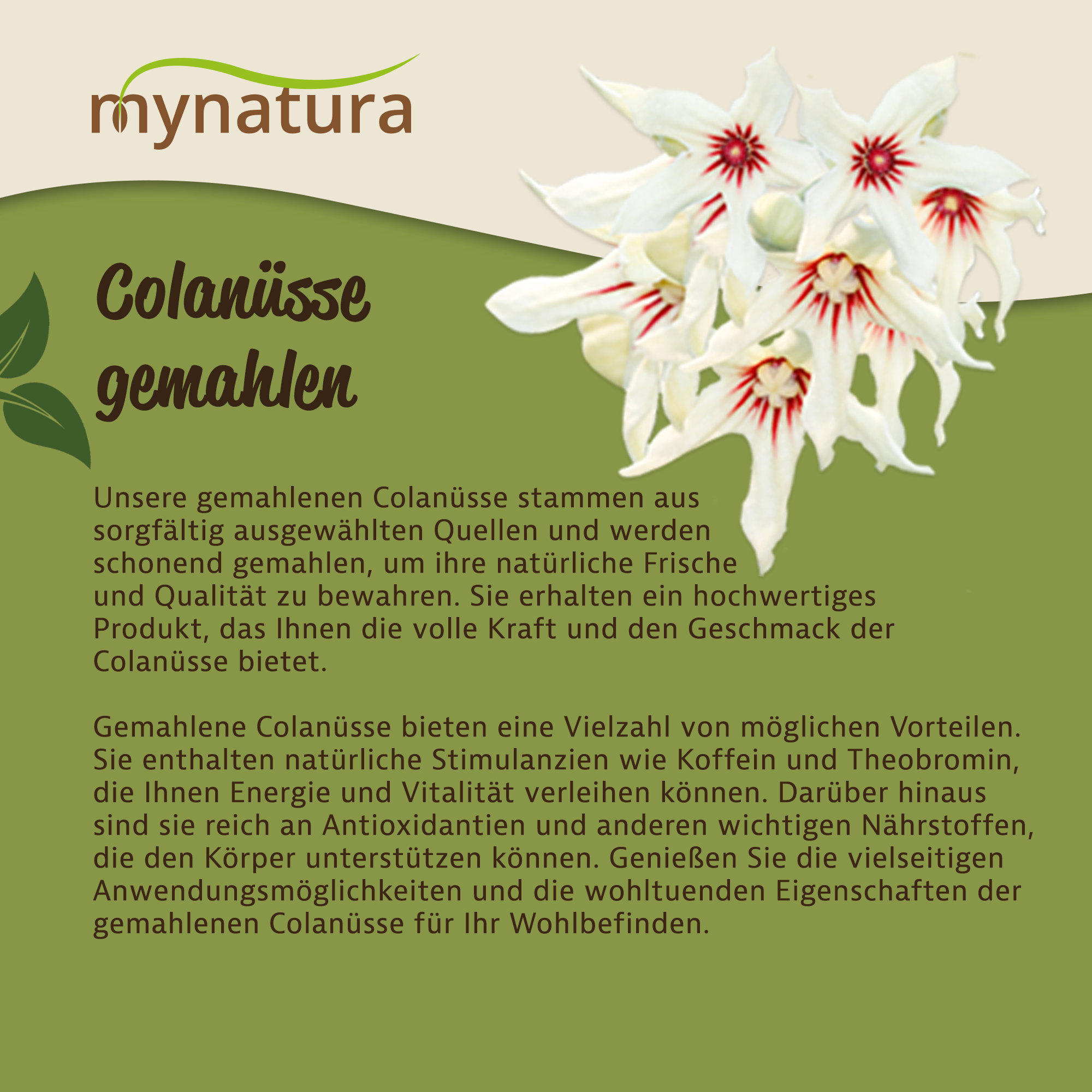 Mynatura Colanüsse gemahlen – 100% natürlich | Vegane Küche | Superfood für vielseitige Rezepte 250g Mynatura Colanüsse gemahlen – 100% natürlich | Vegane Küche | Superfood für vielseitige Rezepte 250g