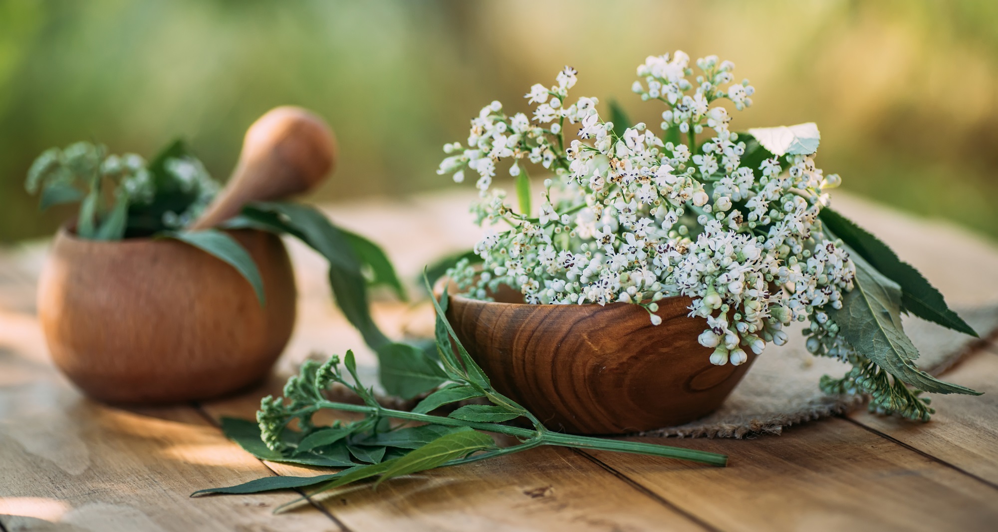 Bio Baldrianwurzel geschnitten von Mynatura | Naturprodukt für Tee & kreative Anwendungen 250g Bio Baldrianwurzel geschnitten von Mynatura | Naturprodukt für Tee & kreative Anwendungen 250g