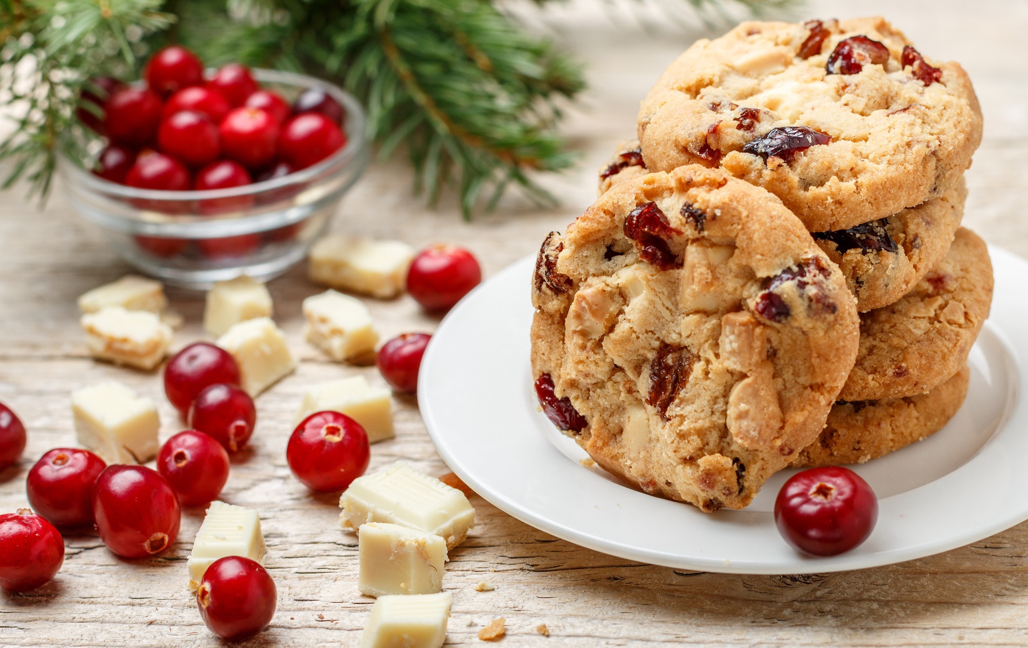 Cranberries mit Vollmilchschokolade – Fruchtig-schokoladiger Snack & Backzutat Cranberries mit Vollmilchschokolade – Fruchtig-schokoladiger Snack & Backzutat