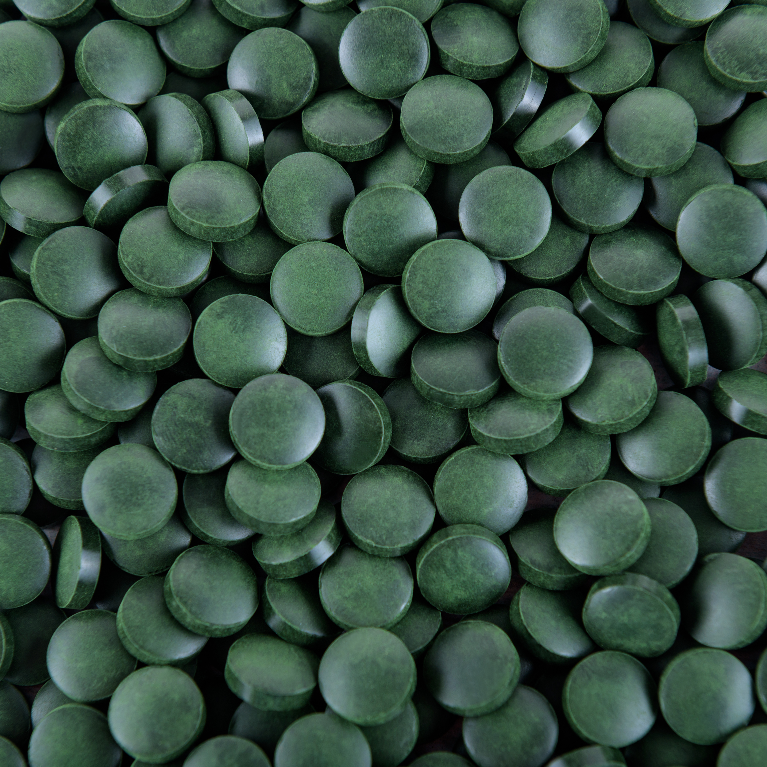 Mynatura Bio Spirulina Presslinge 0,5Kg