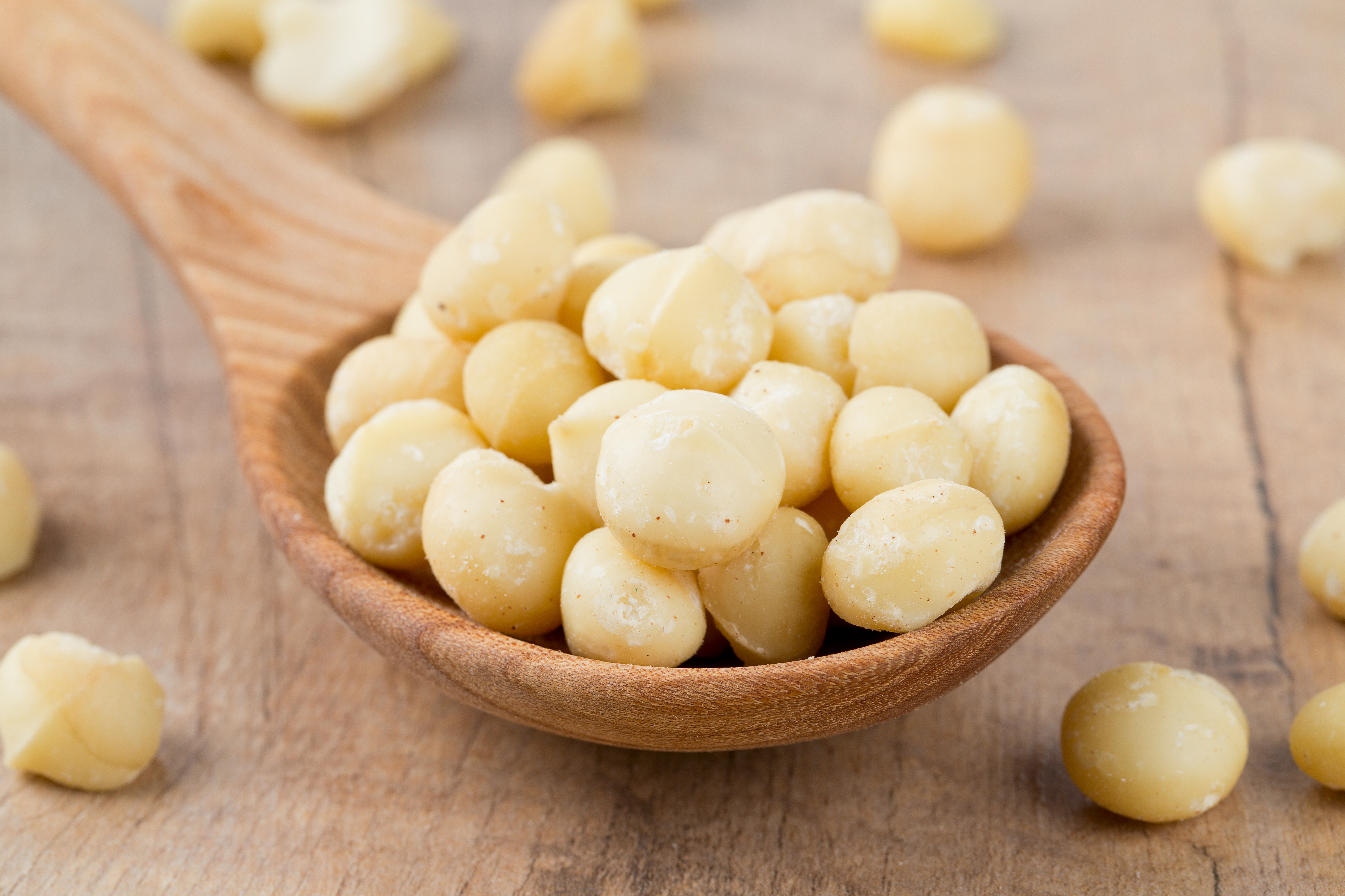 Macadamia-Kerne von Mynatura – Edle Nüsse mit feinem Butteraroma für Genuss und Küche 0,5Kg