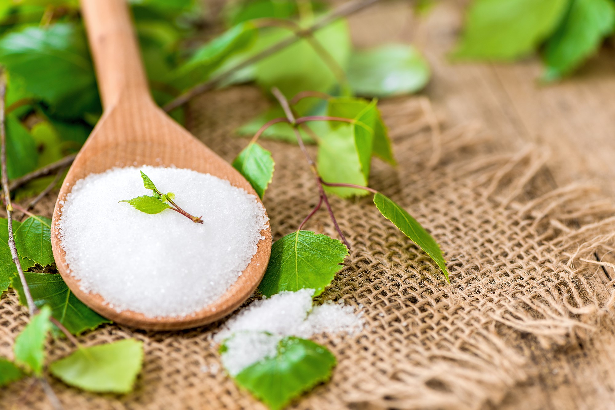 Mynatura Birkenzucker Der Echte aus Finnland ohne Maiszusatz! 1Kg