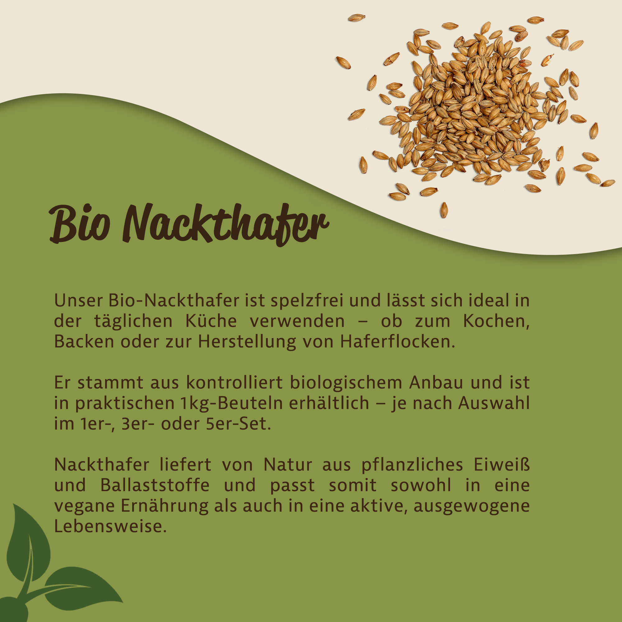 Bio Nackthafer – Herkunft, Eigenschaften & vielseitige Verwendung | Mynatura 1Kg