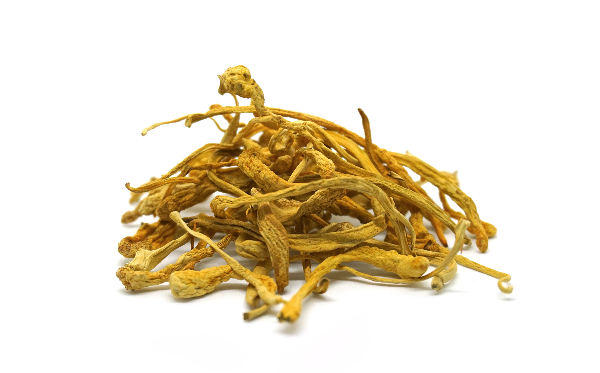 Mynatura Bio Cordyceps Pilzpulver – Pflanzliches Superfood in Bio-Qualität | Vielseitig & Mineralstoffreich 0,2Kg Mynatura Bio Cordyceps Pilzpulver – Pflanzliches Superfood in Bio-Qualität | Vielseitig & Mineralstoffreich 0,2Kg