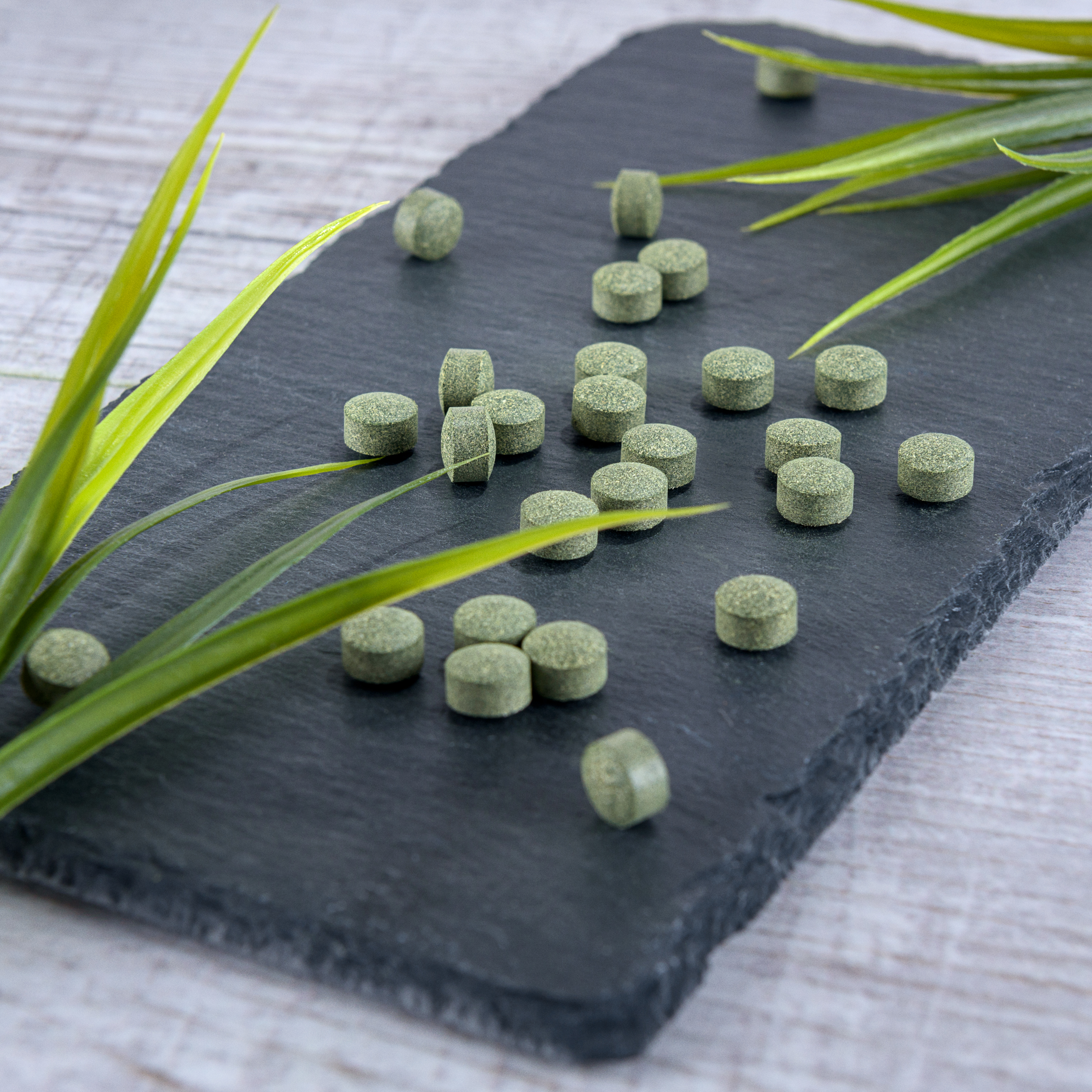 Bio Spirulina Chlorella Gerstengras Mix Tabletten | Veganes Superfood mit geprüfter Bio-Qualität MIX 0,25Kg Bio Spirulina Chlorella Gerstengras Mix Tabletten | Veganes Superfood mit geprüfter Bio-Qualität MIX 0,25Kg