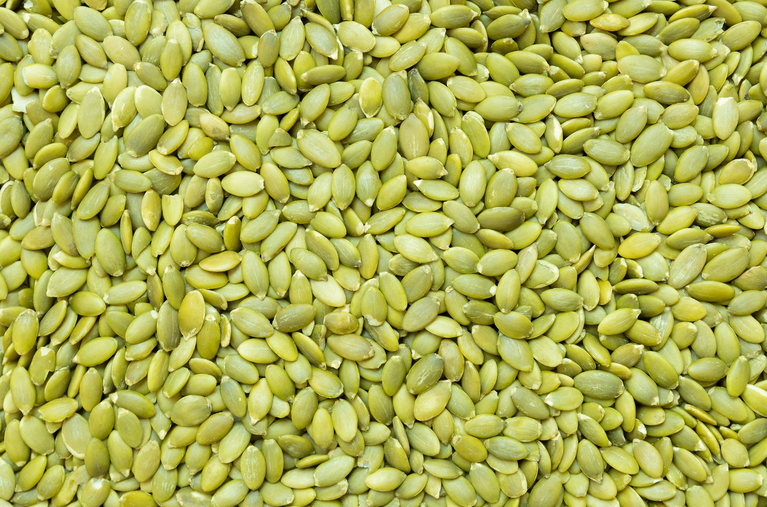 Mynatura Bio Kürbiskernmus 500g