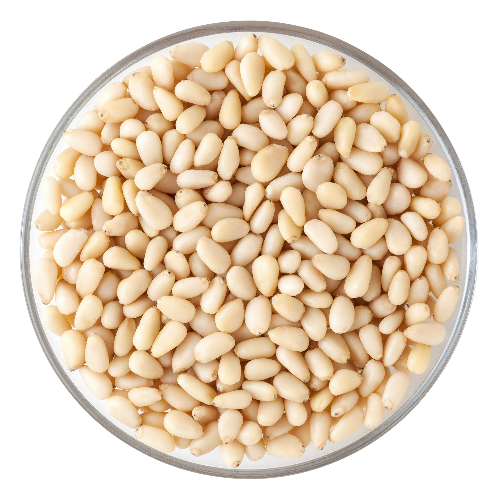 Mynatura Bio Zedernkerne, ganz 500g
