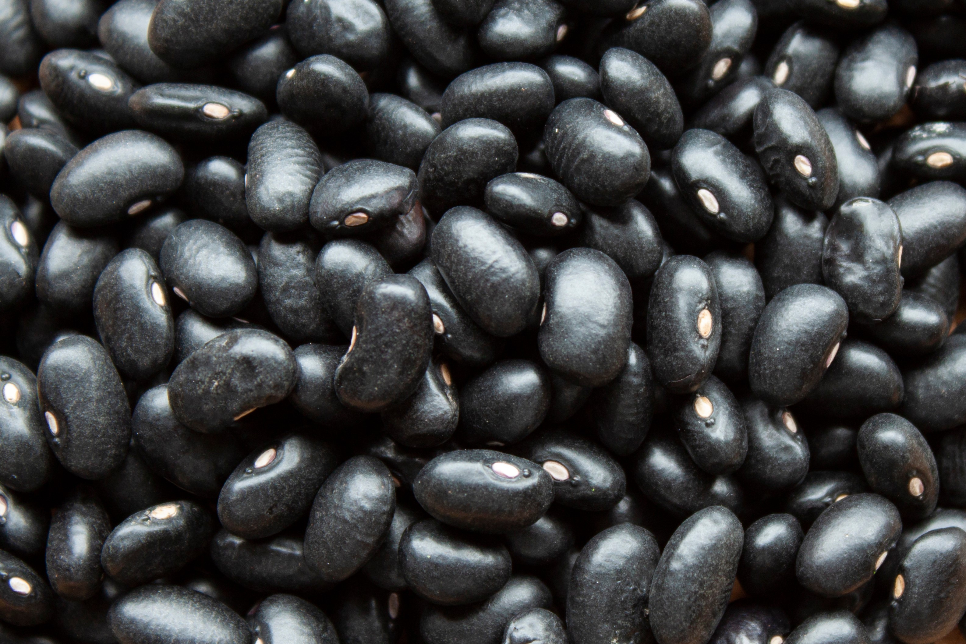 Bio Schwarze Bohnen von Mynatura | Pflanzliches Eiweiß & vielseitige Hülsenfrucht zum Kochen 1Kg Bio Schwarze Bohnen von Mynatura | Pflanzliches Eiweiß & vielseitige Hülsenfrucht zum Kochen 1Kg